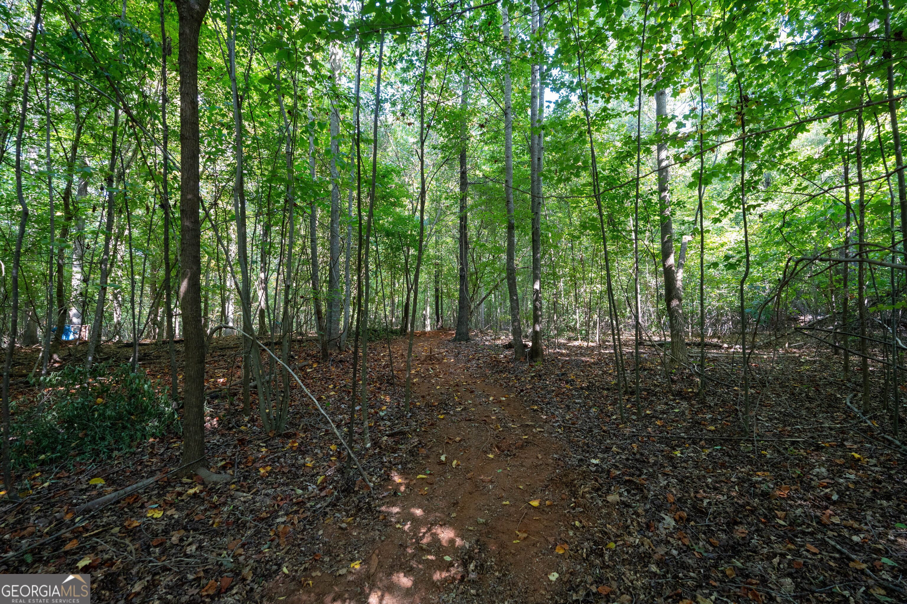 12 Bunch Road Tignall GA 30668