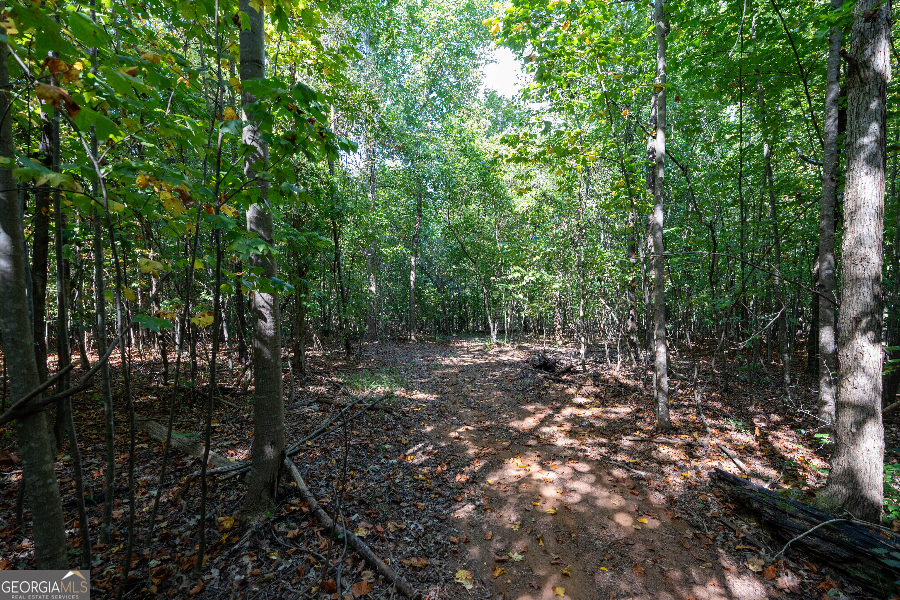 12 Bunch Road Tignall GA 30668