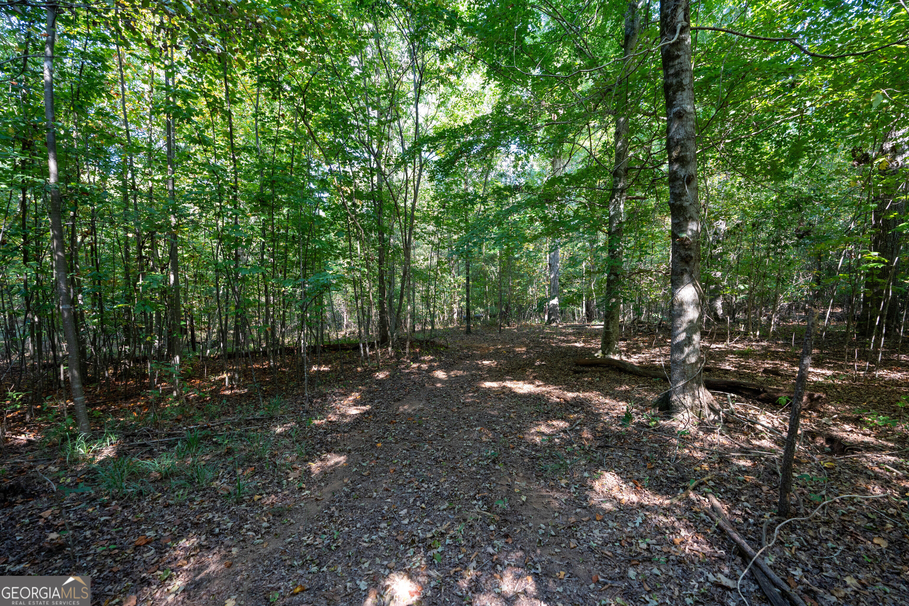 12 Bunch Road Tignall GA 30668