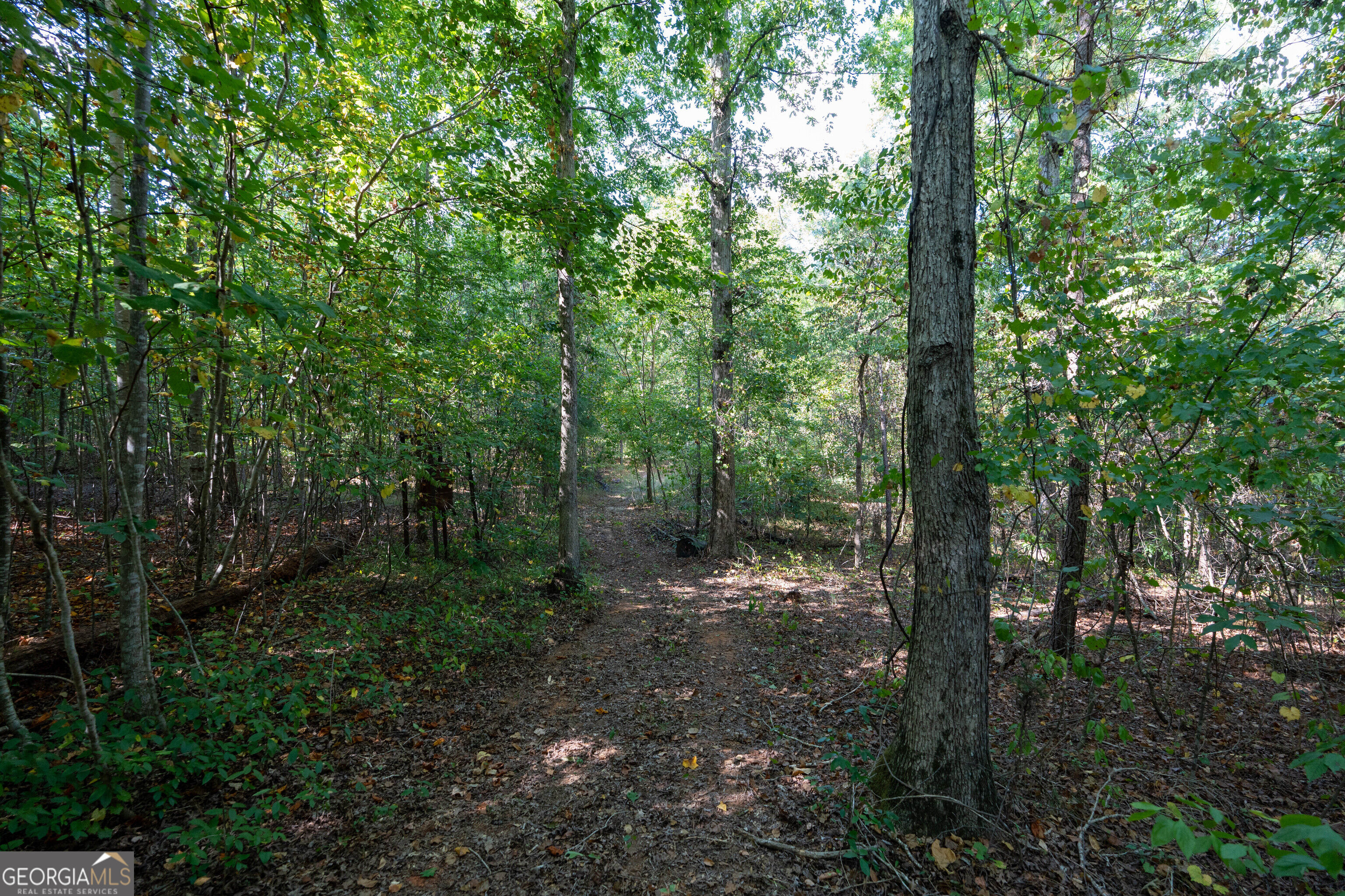 12 Bunch Road Tignall GA 30668