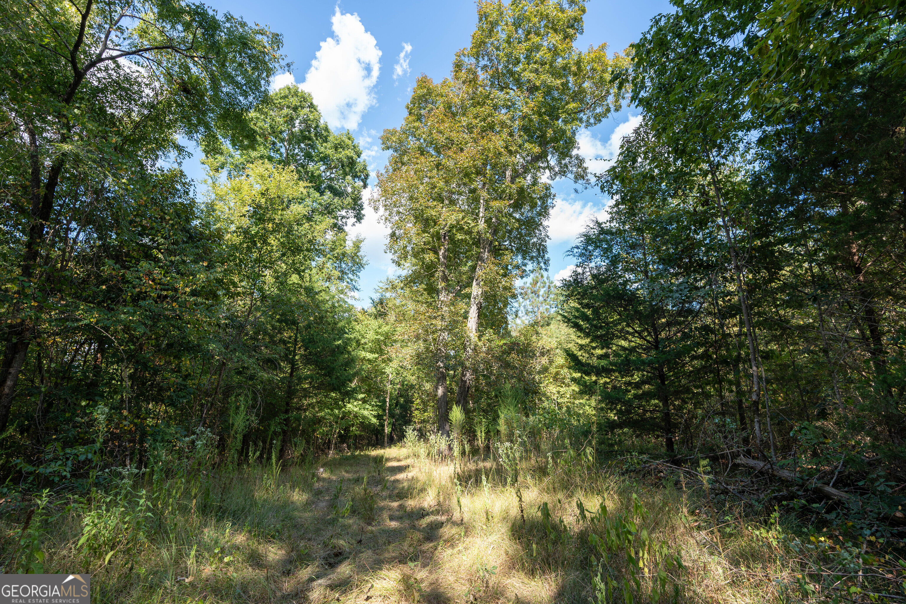 12 Bunch Road Tignall GA 30668