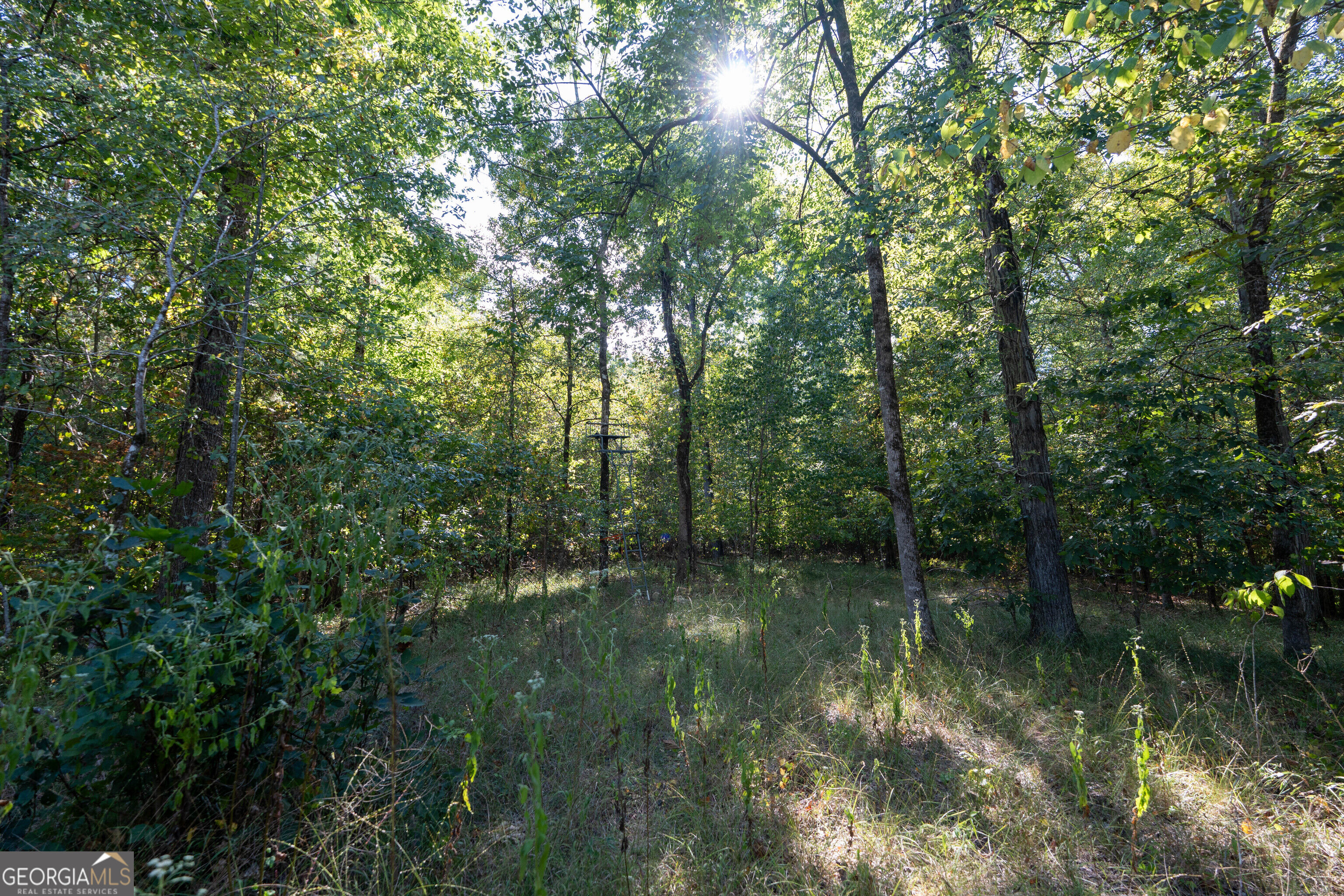 12 Bunch Road Tignall GA 30668