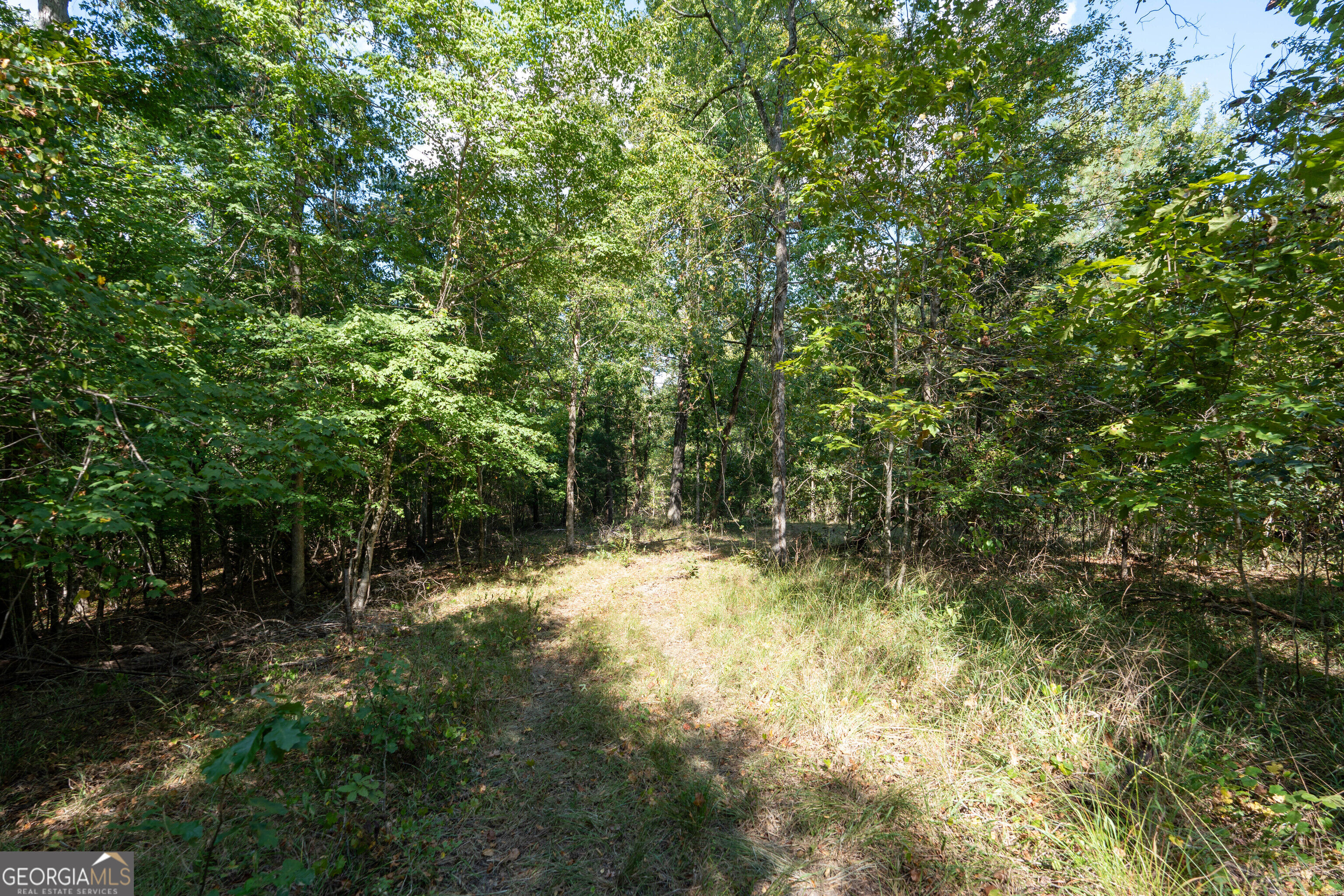 12 Bunch Road Tignall GA 30668