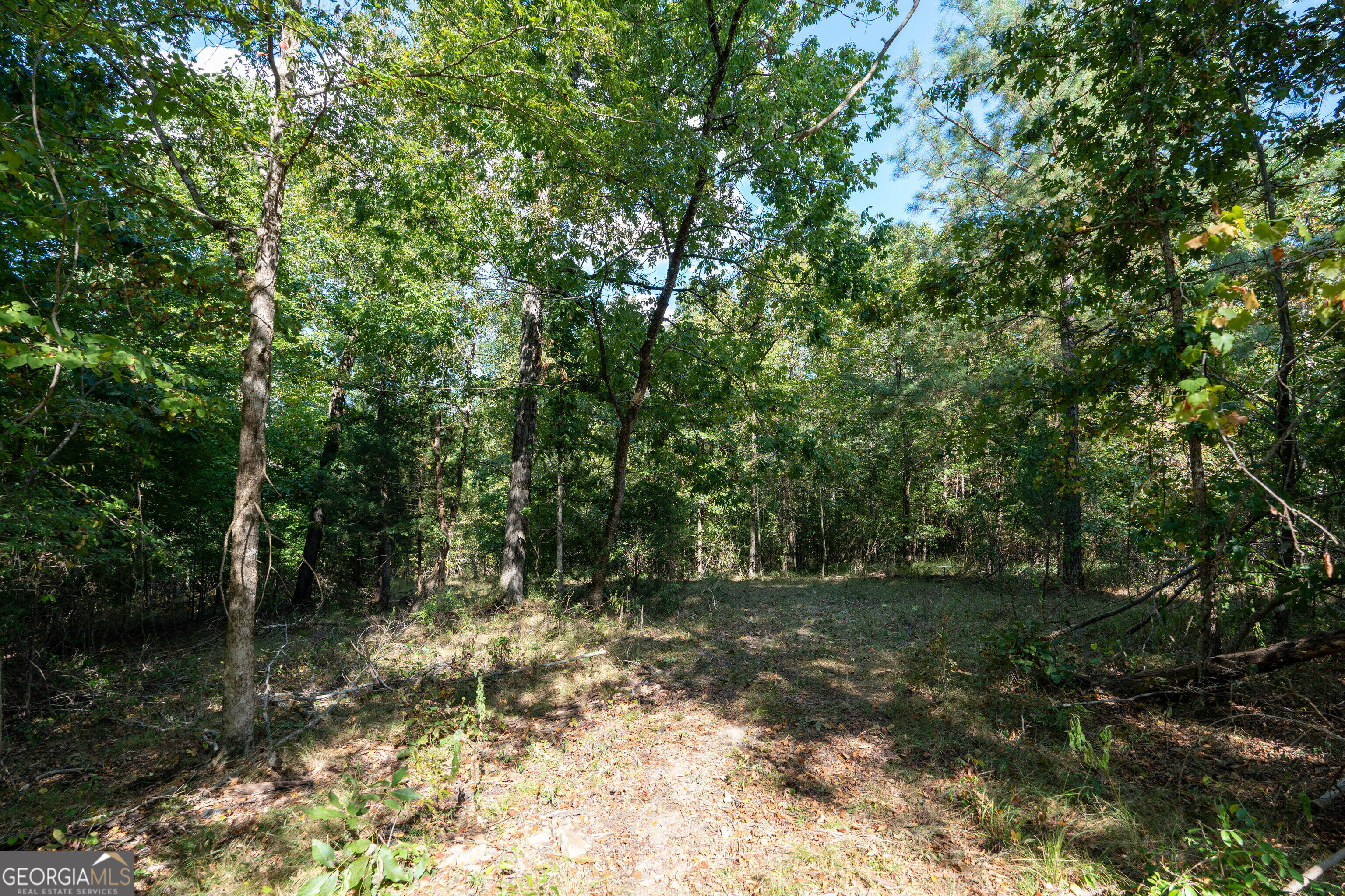 12 Bunch Road Tignall GA 30668