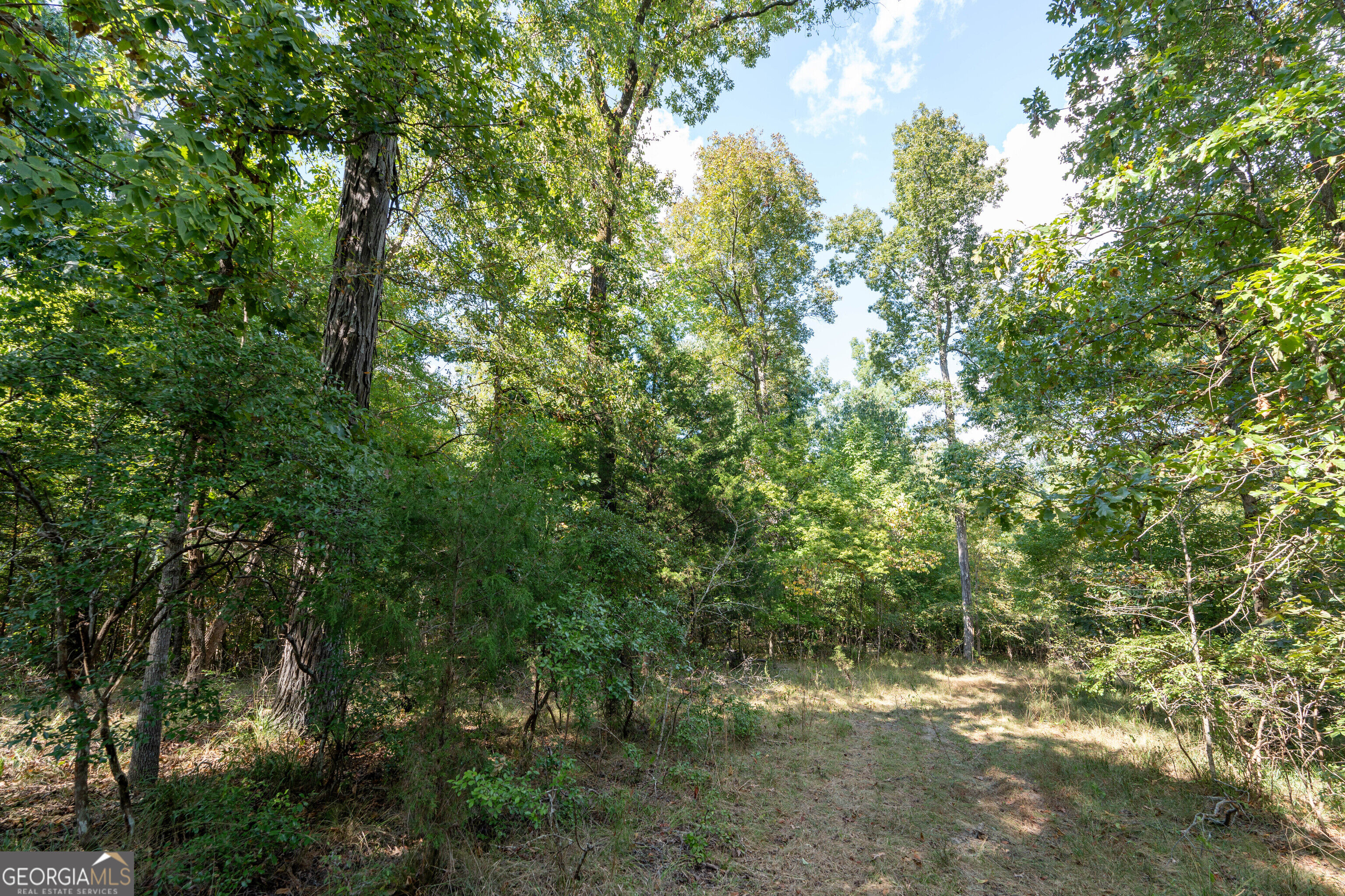 12 Bunch Road Tignall GA 30668