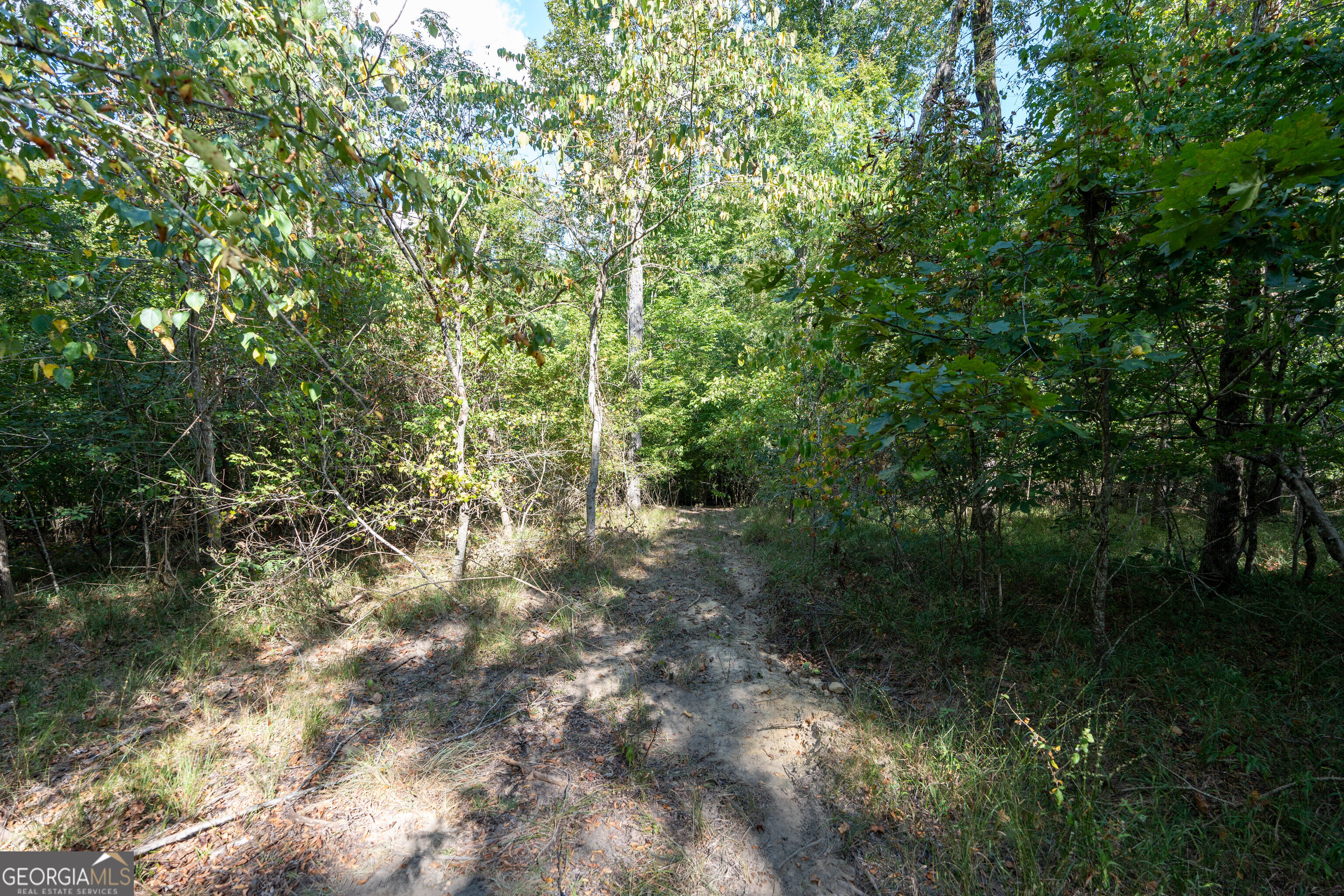 12 Bunch Road Tignall GA 30668