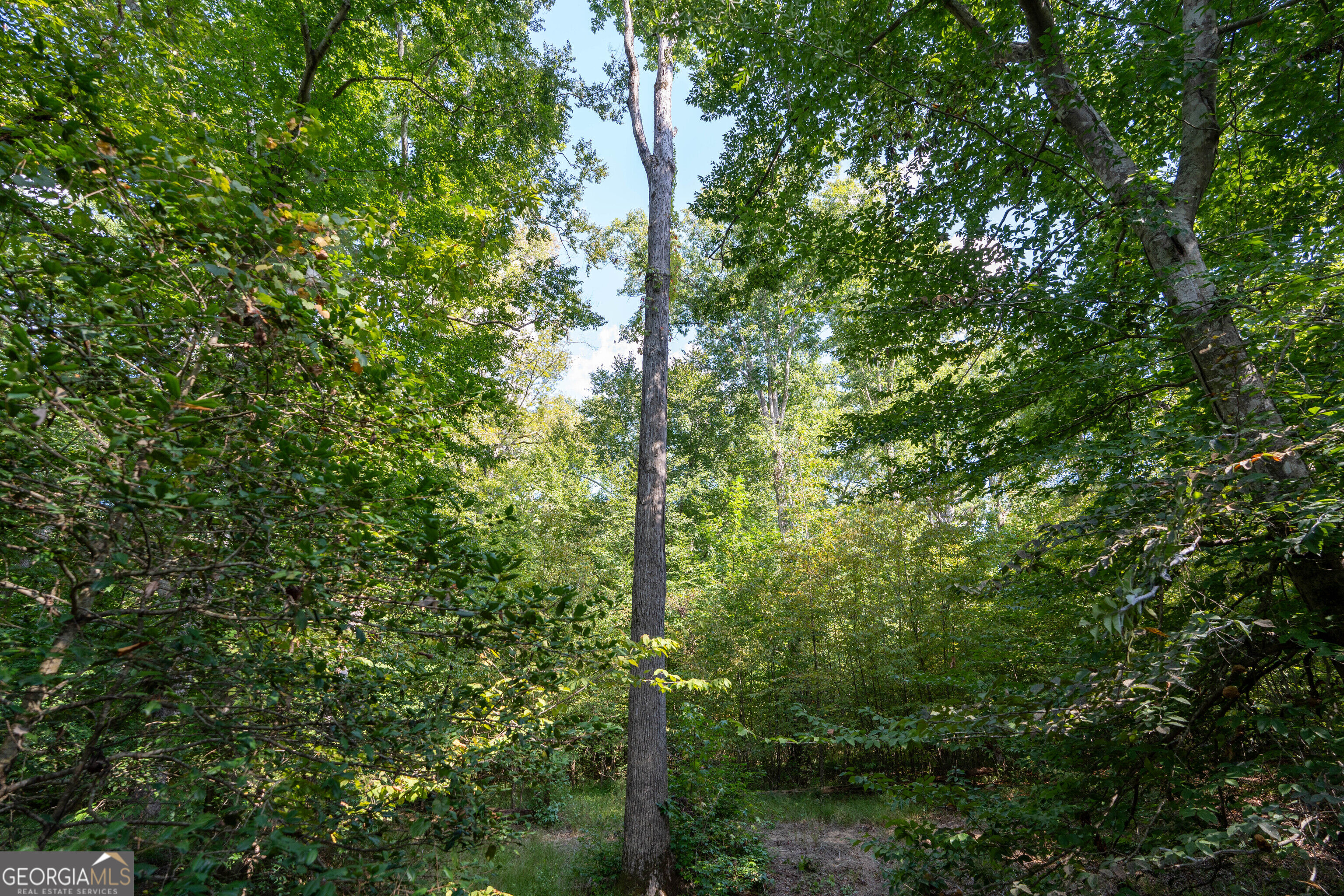 12 Bunch Road Tignall GA 30668