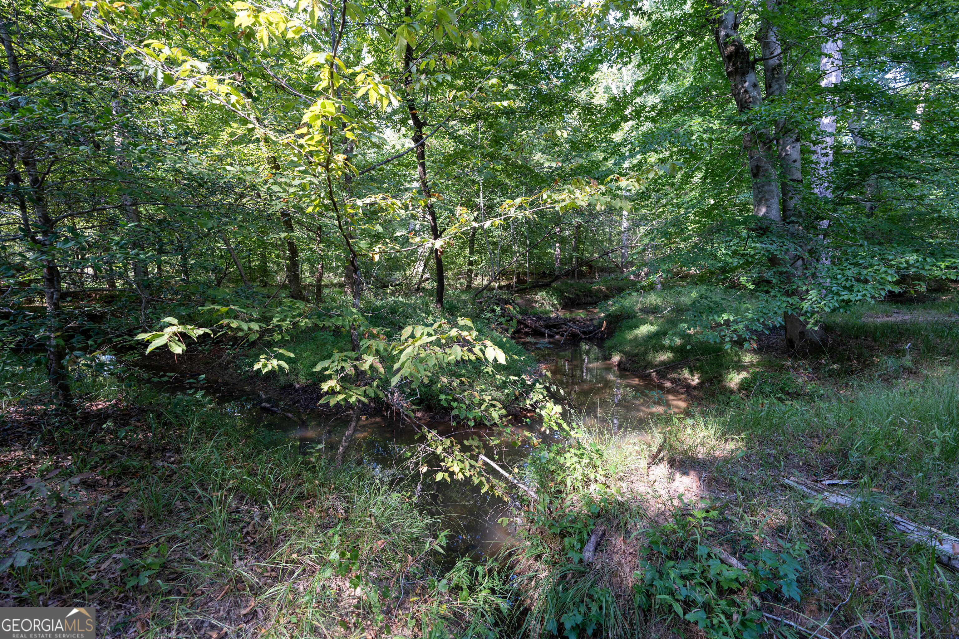12 Bunch Road Tignall GA 30668