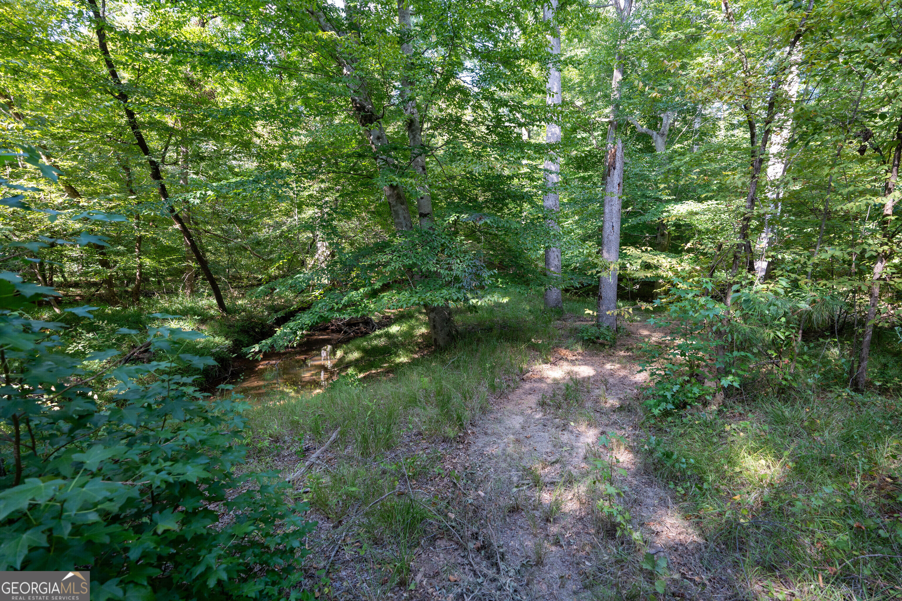 12 Bunch Road Tignall GA 30668
