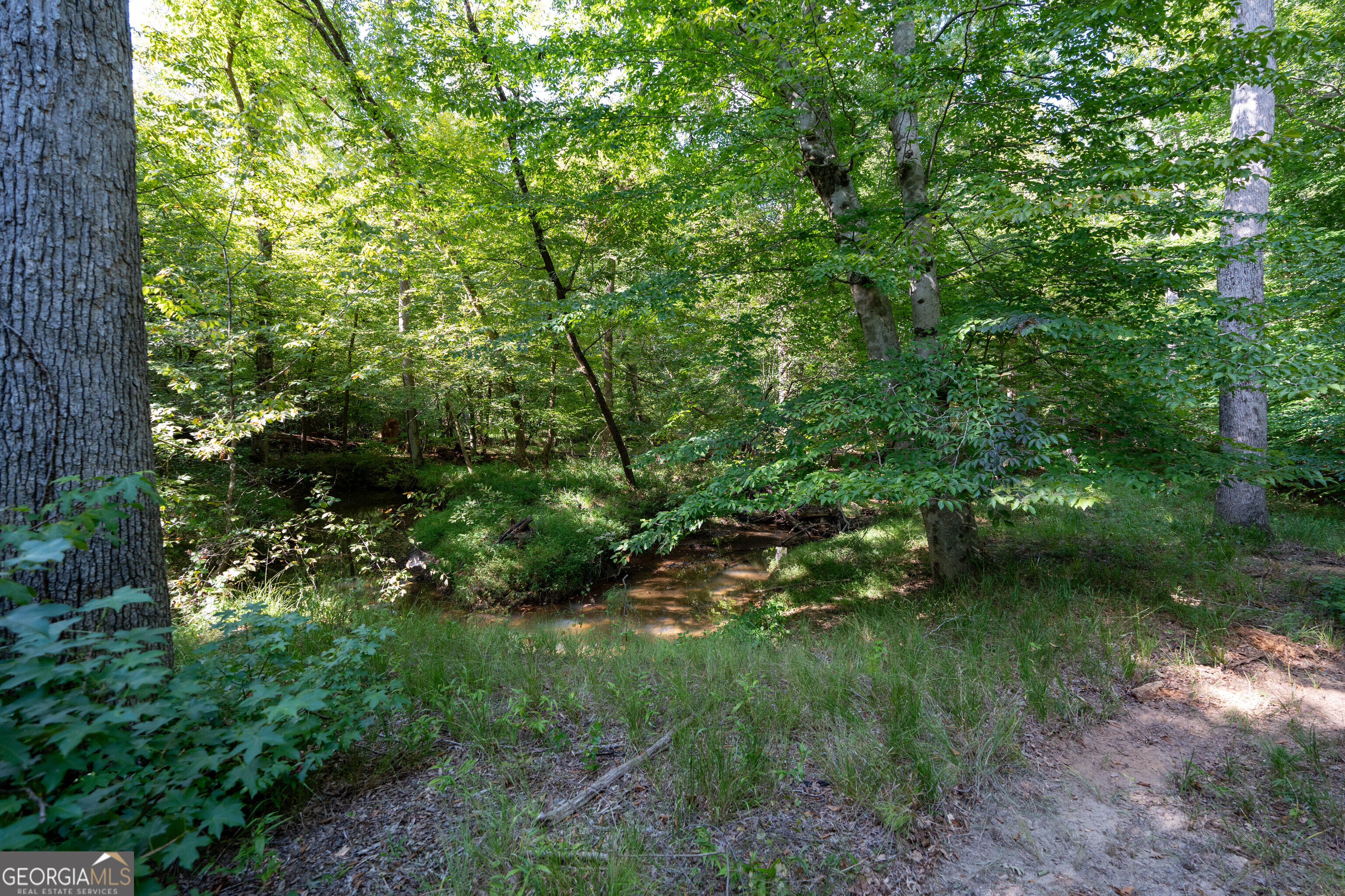 12 Bunch Road Tignall GA 30668