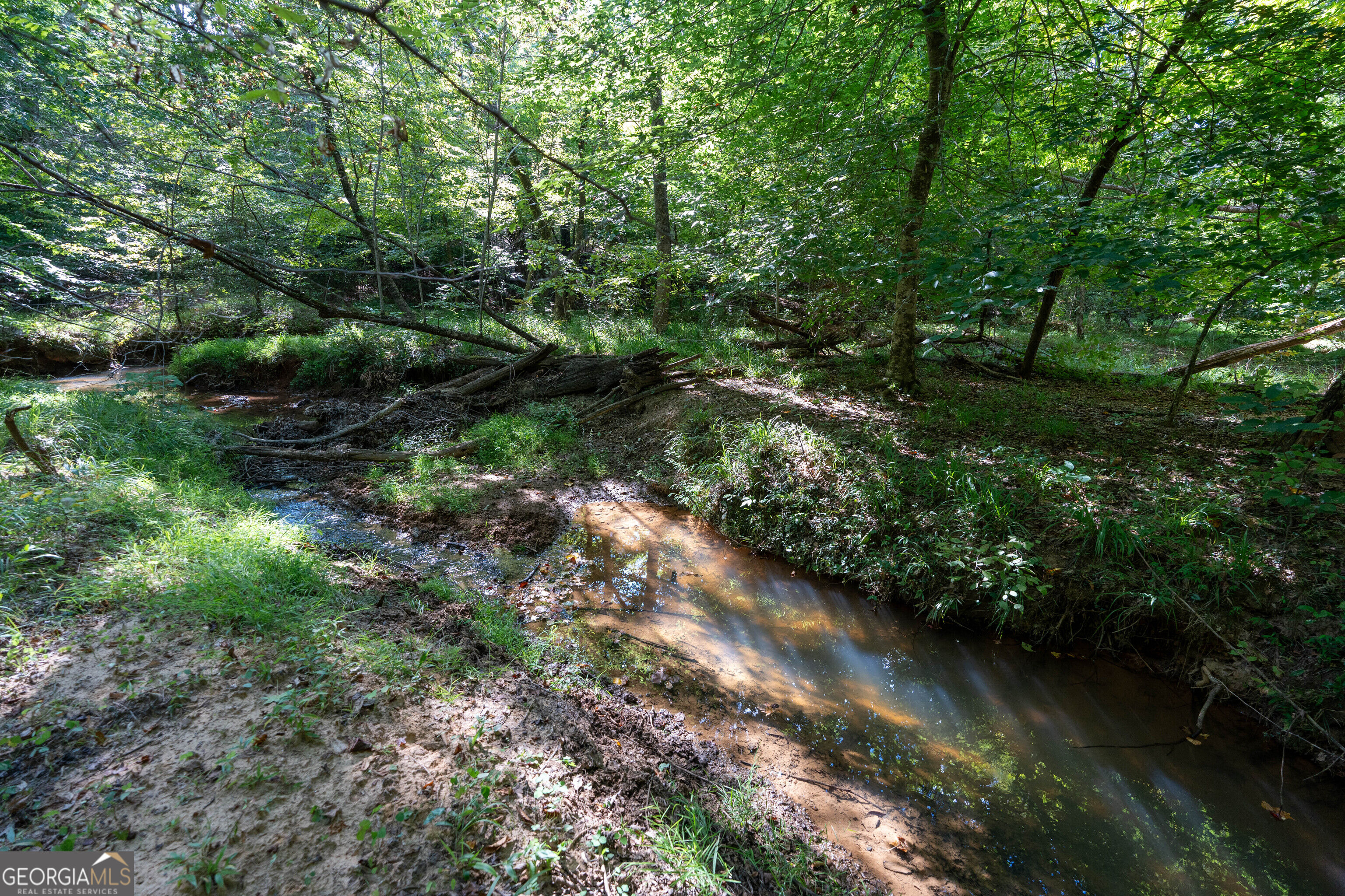 12 Bunch Road Tignall GA 30668