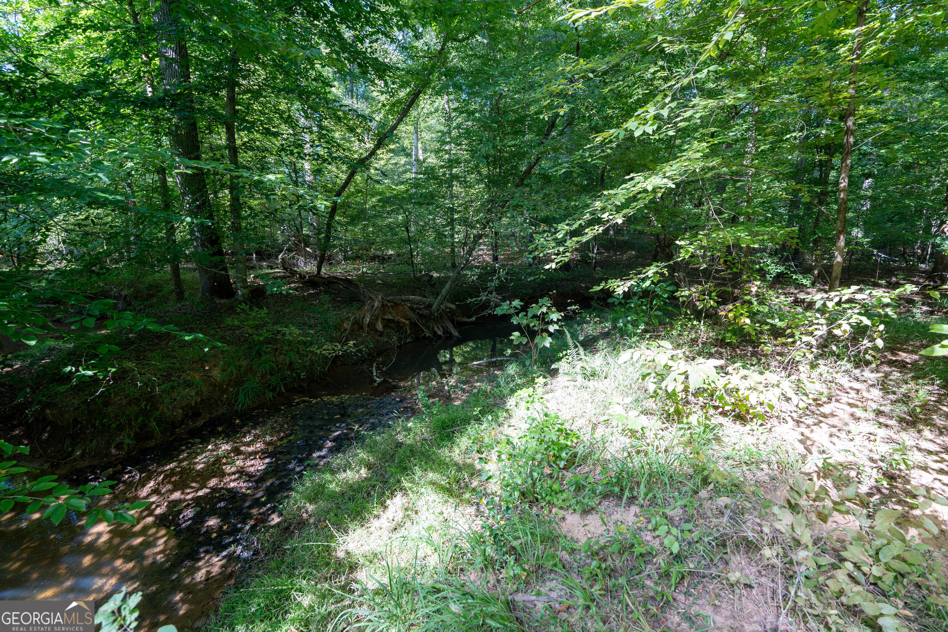 12 Bunch Road Tignall GA 30668