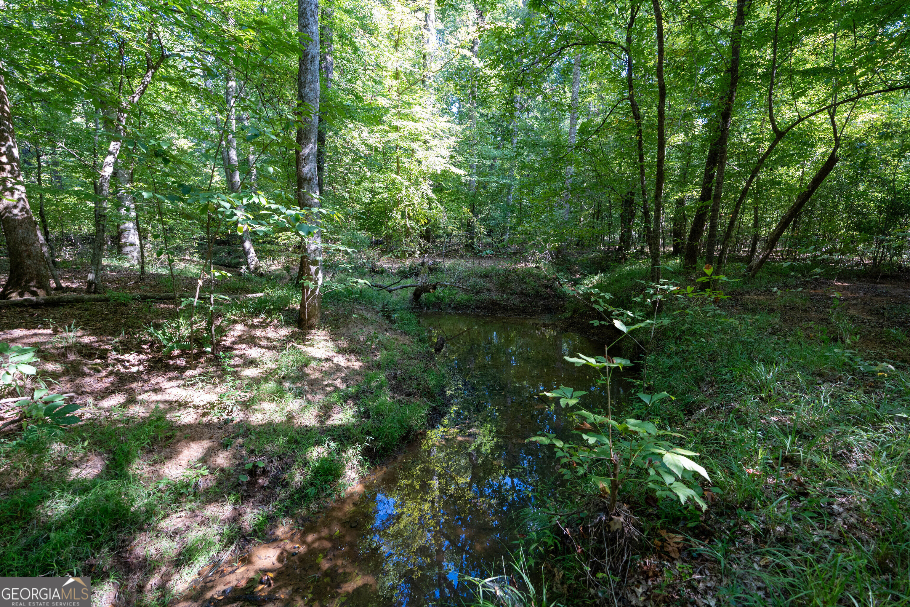 12 Bunch Road Tignall GA 30668