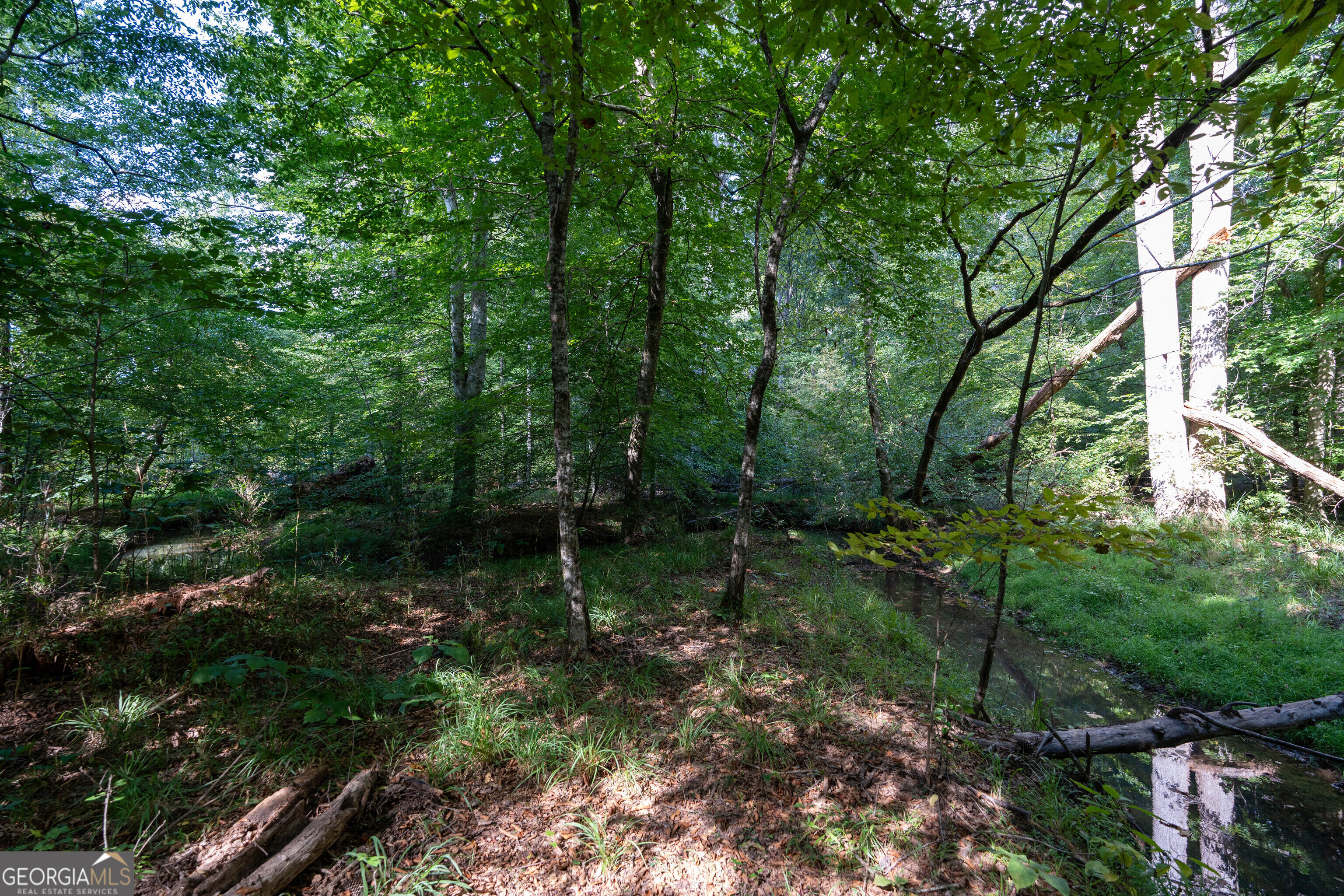 12 Bunch Road Tignall GA 30668