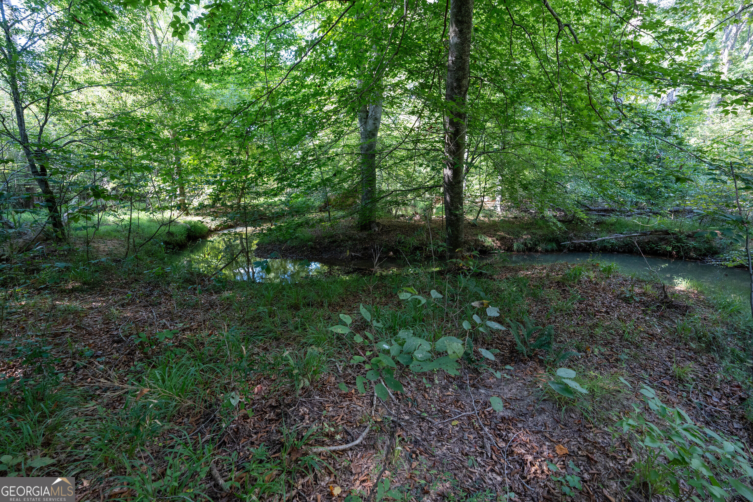 12 Bunch Road Tignall GA 30668