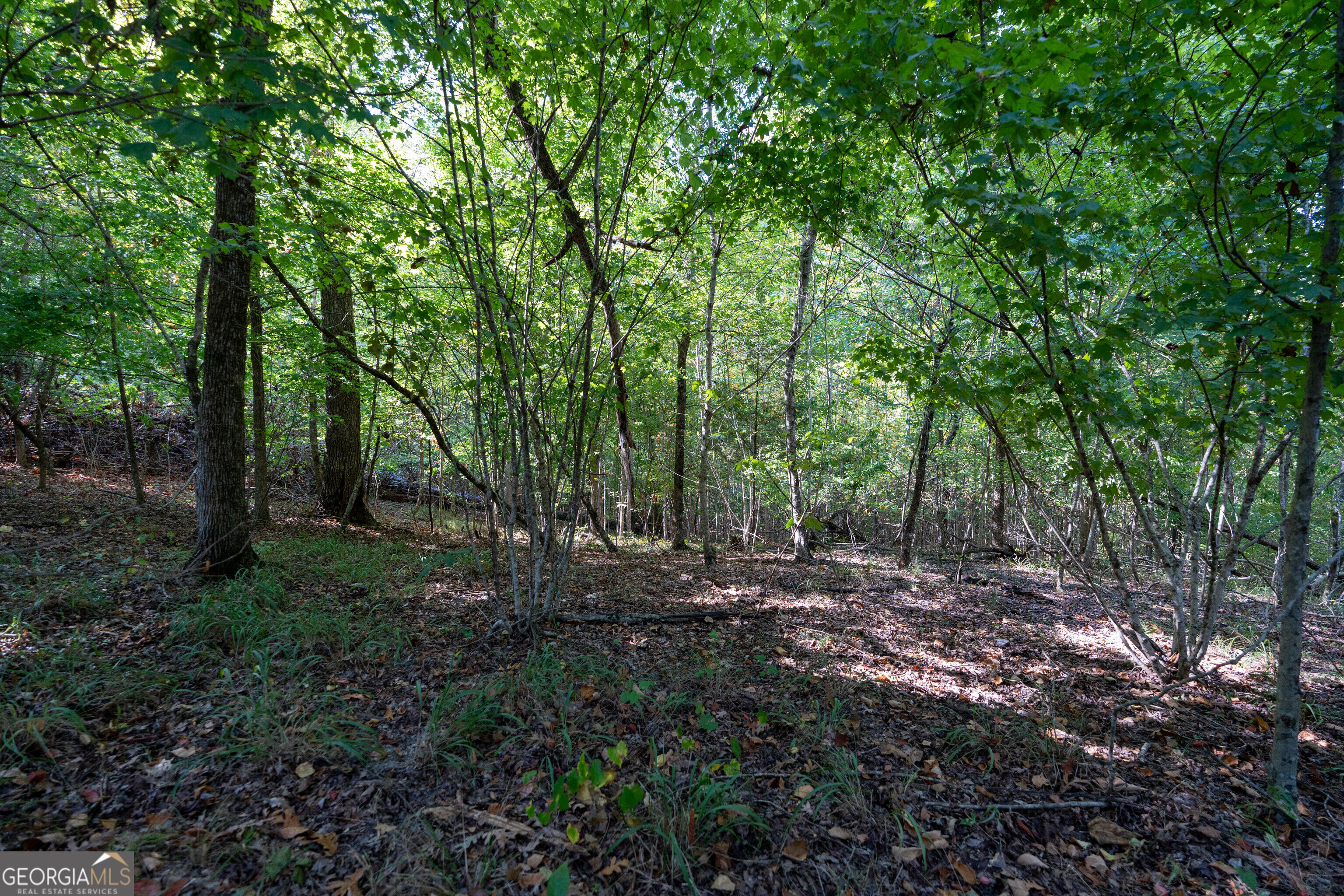 12 Bunch Road Tignall GA 30668
