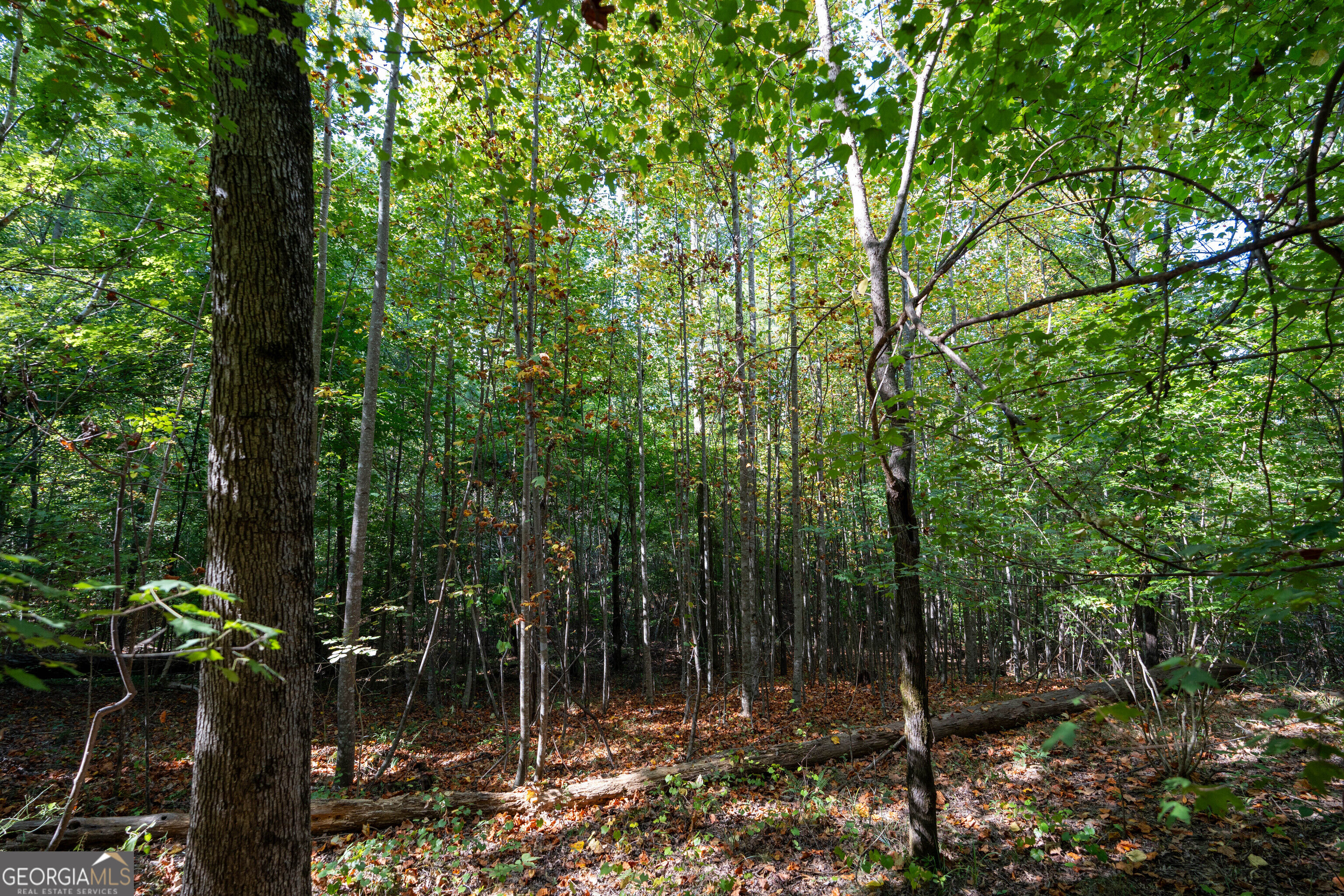 12 Bunch Road Tignall GA 30668