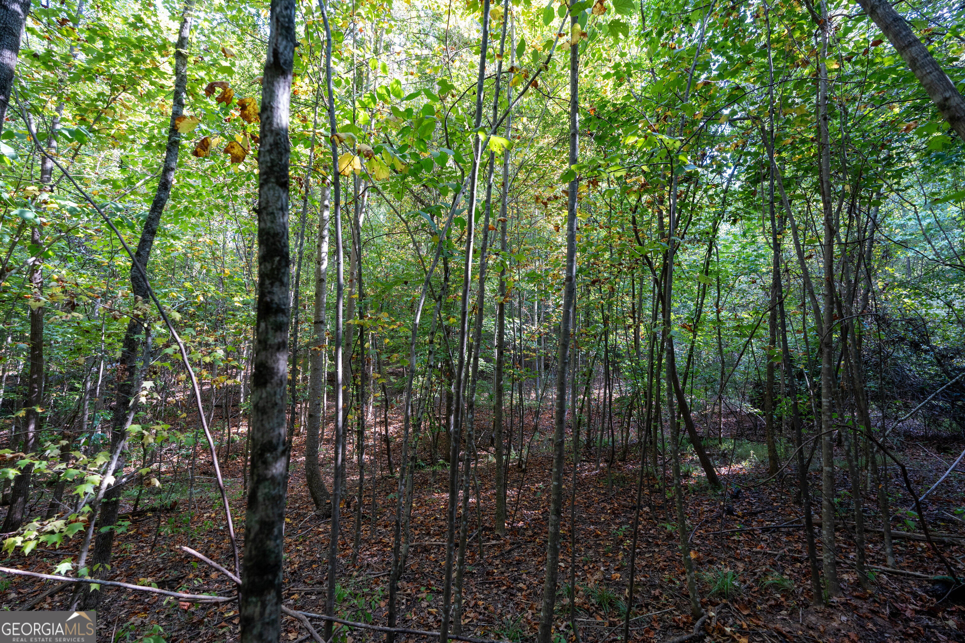 12 Bunch Road Tignall GA 30668