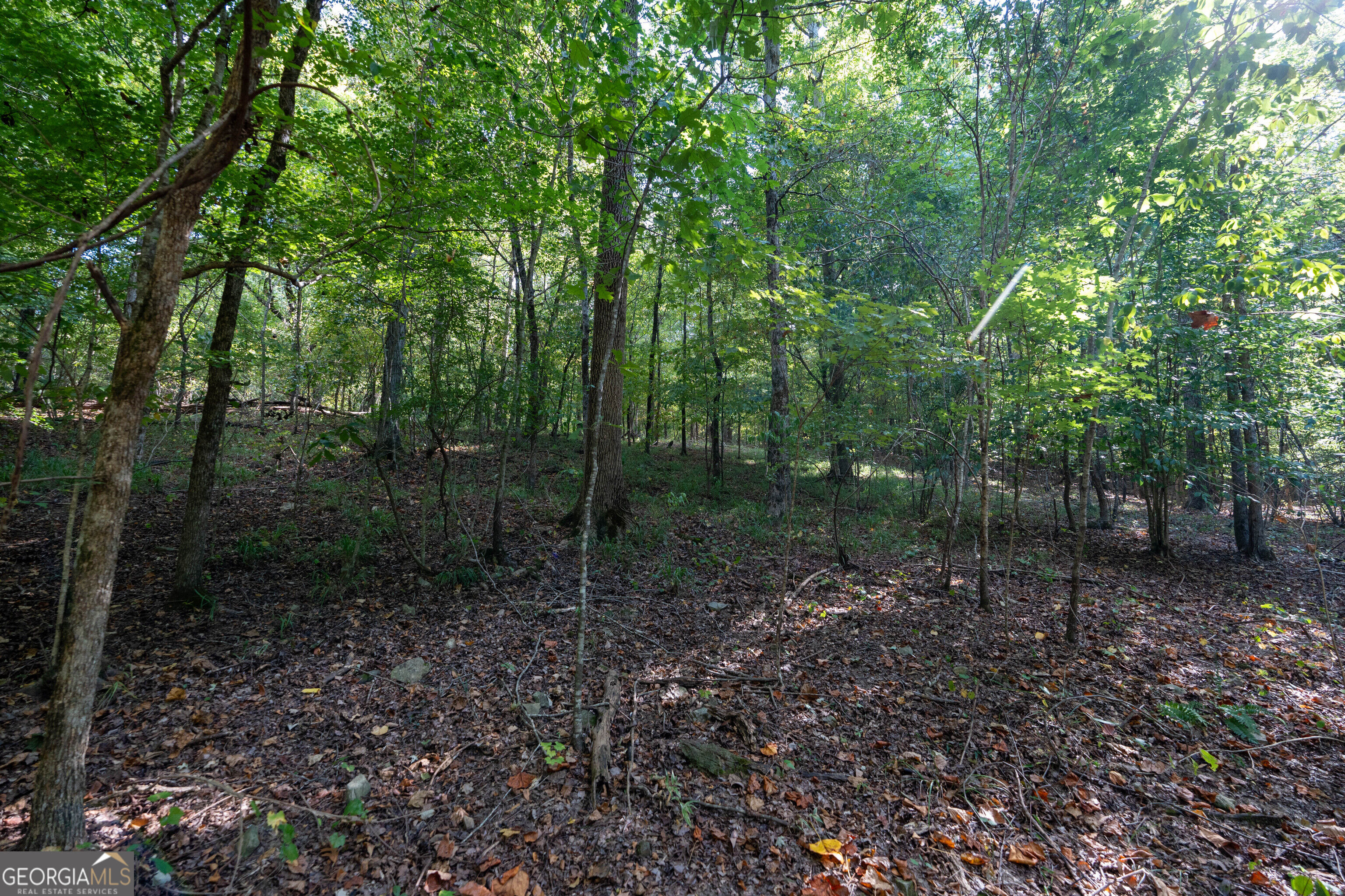 12 Bunch Road Tignall GA 30668