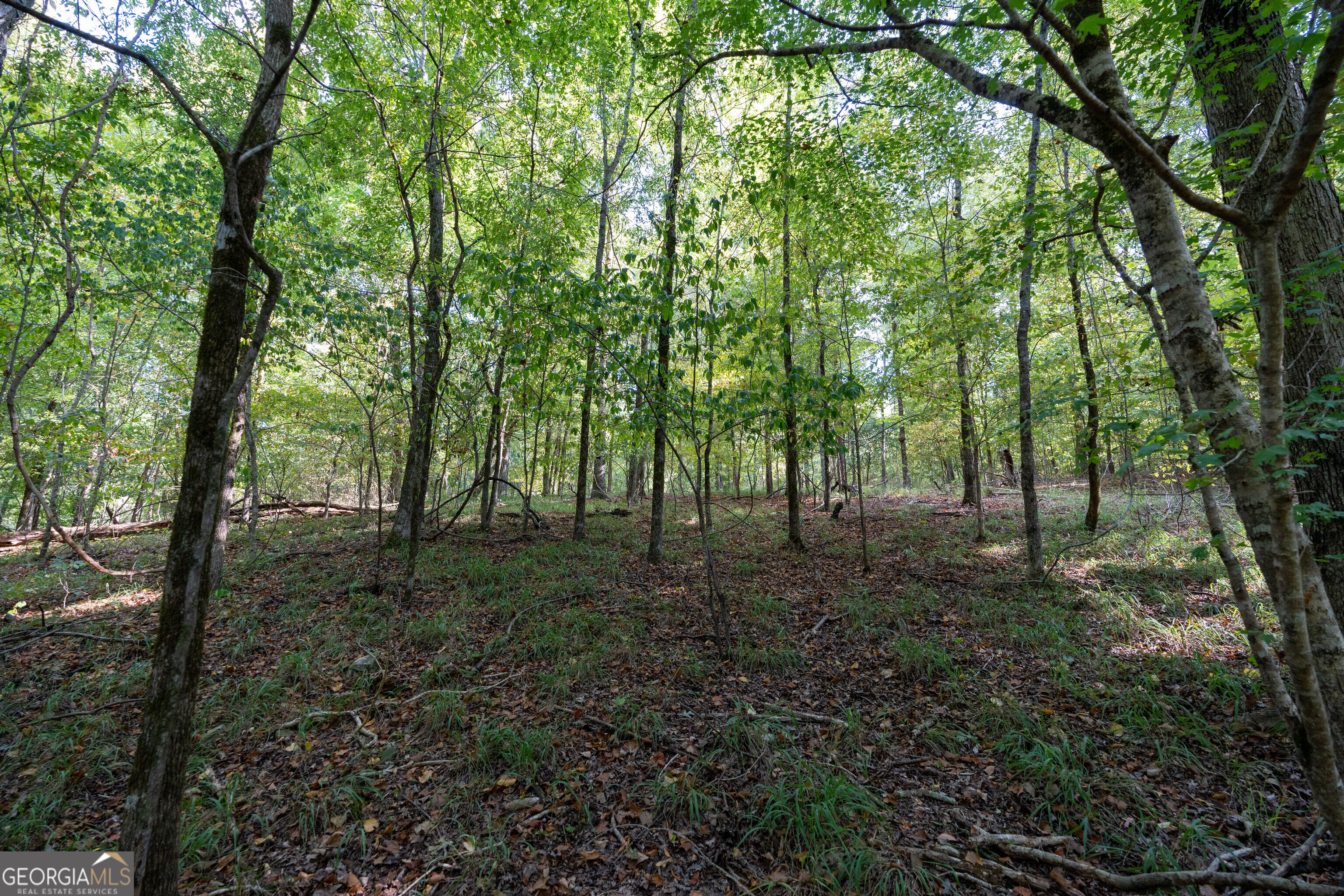 12 Bunch Road Tignall GA 30668