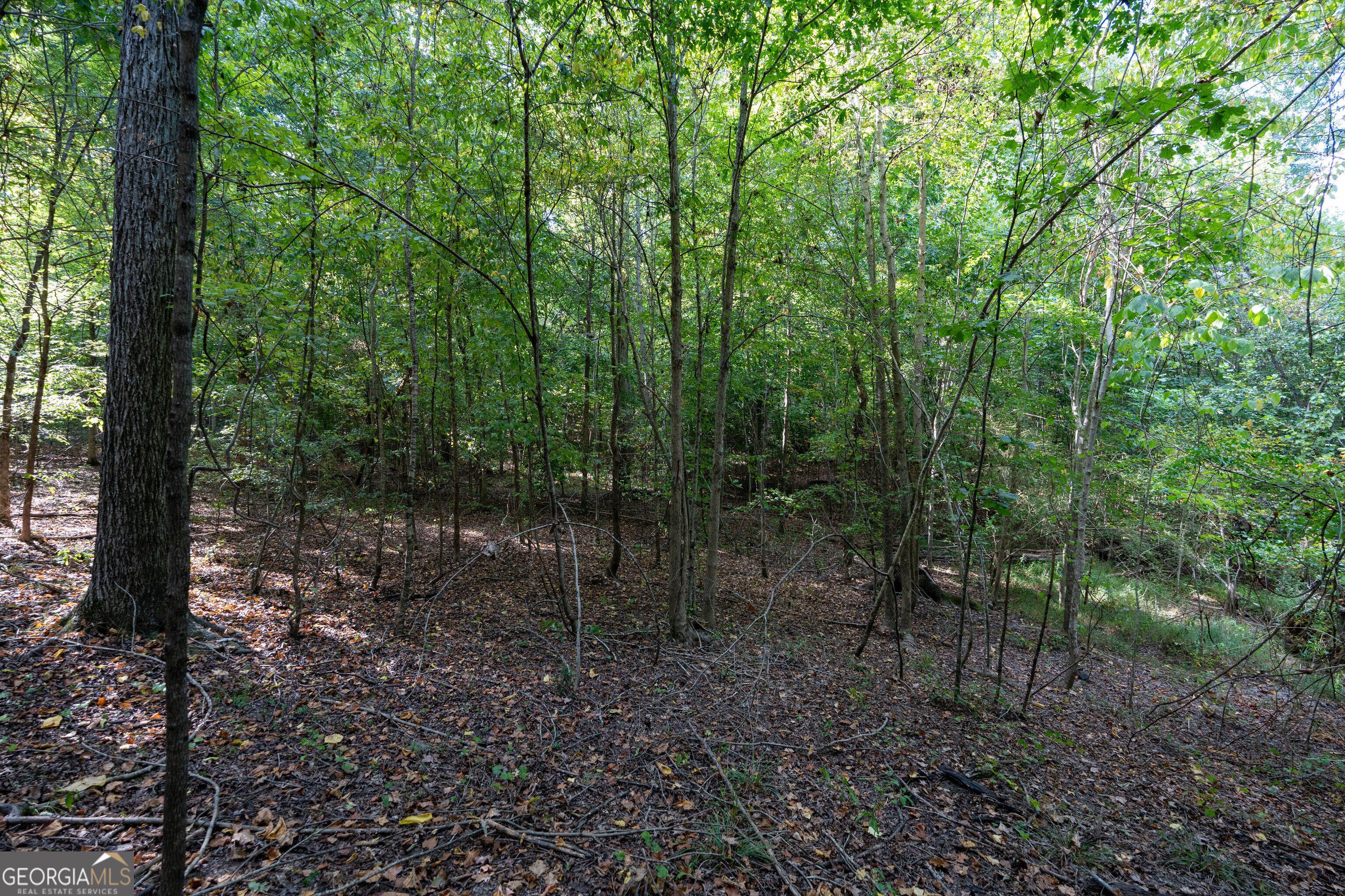 12 Bunch Road Tignall GA 30668