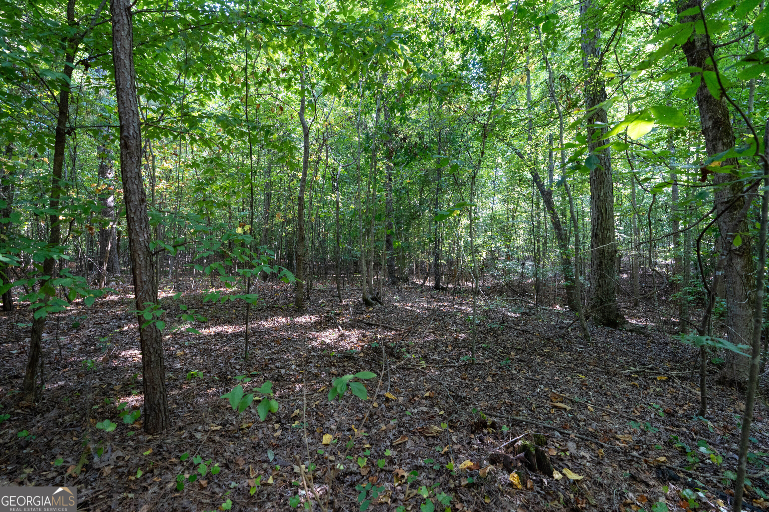 12 Bunch Road Tignall GA 30668