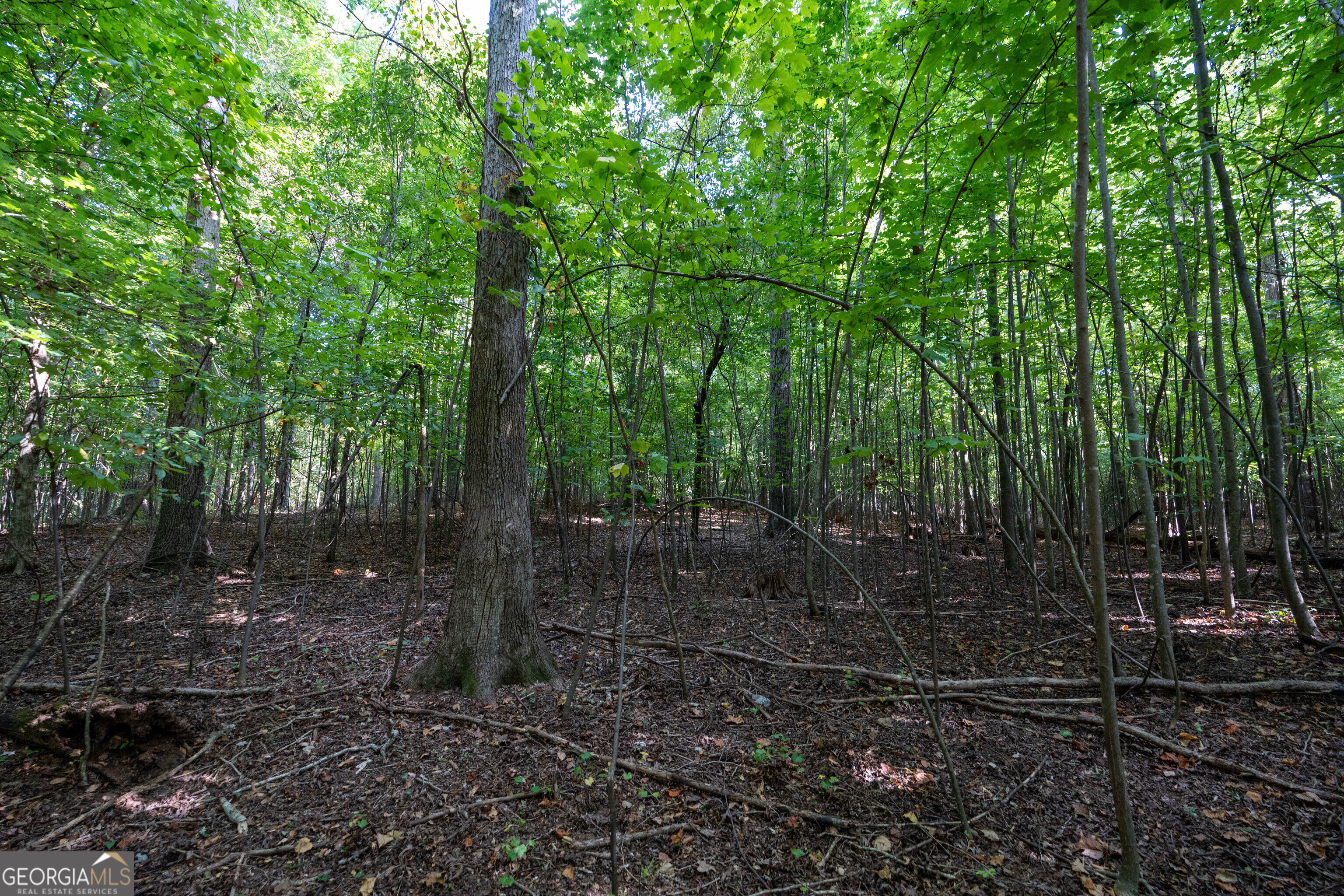 12 Bunch Road Tignall GA 30668