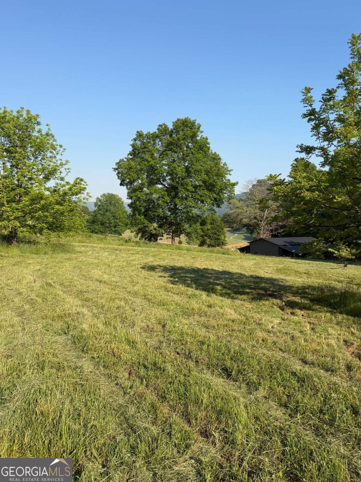 0 Mountain Road Morganton GA 30560