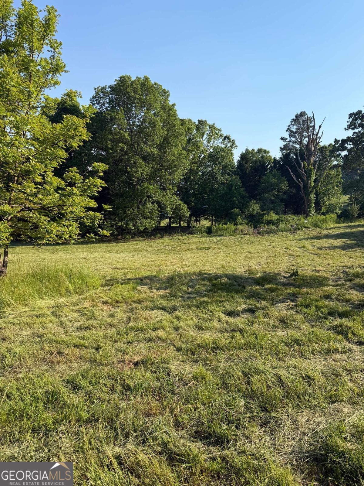 0 Mountain Road Morganton GA 30560