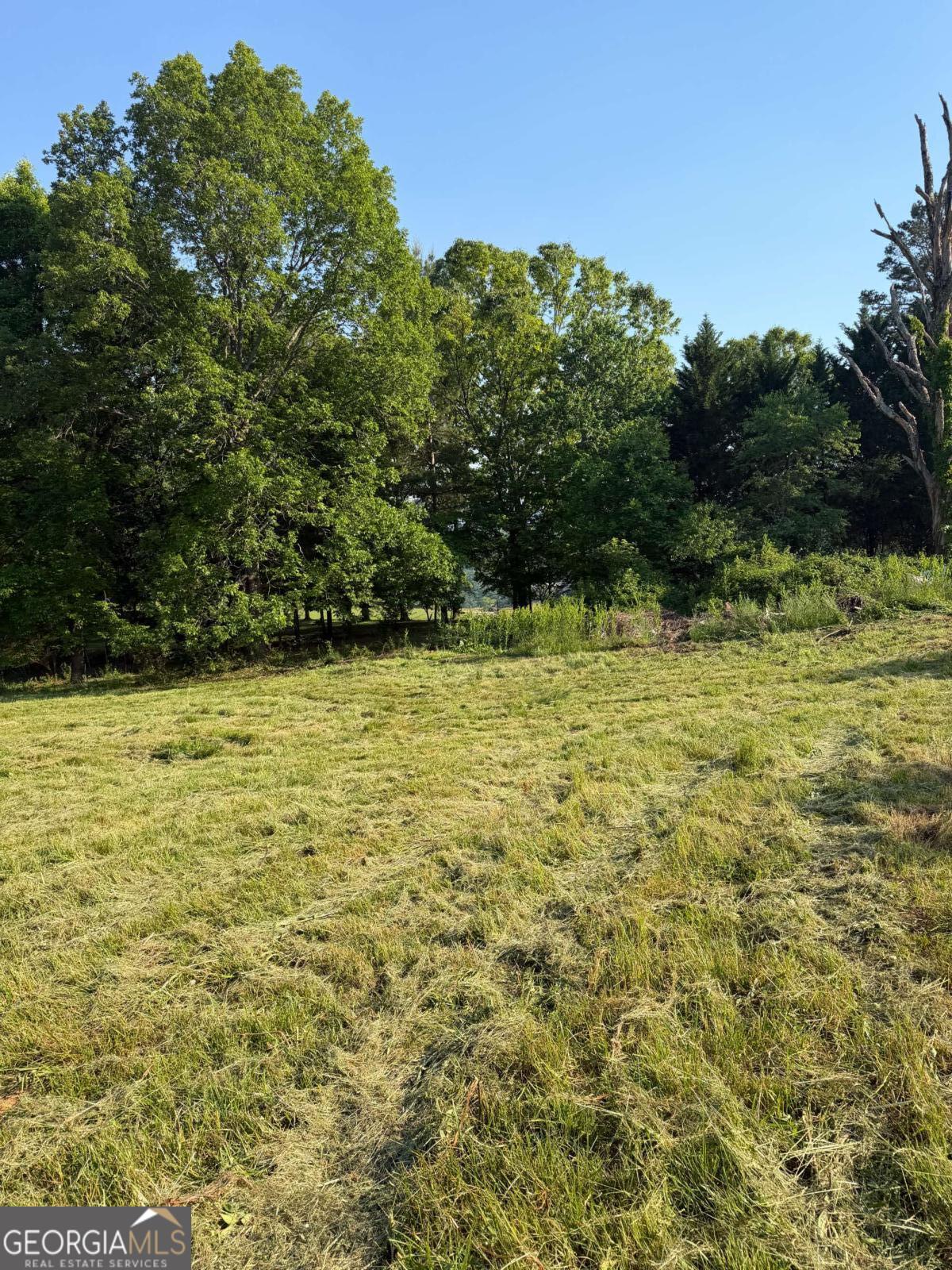 0 Mountain Road Morganton GA 30560