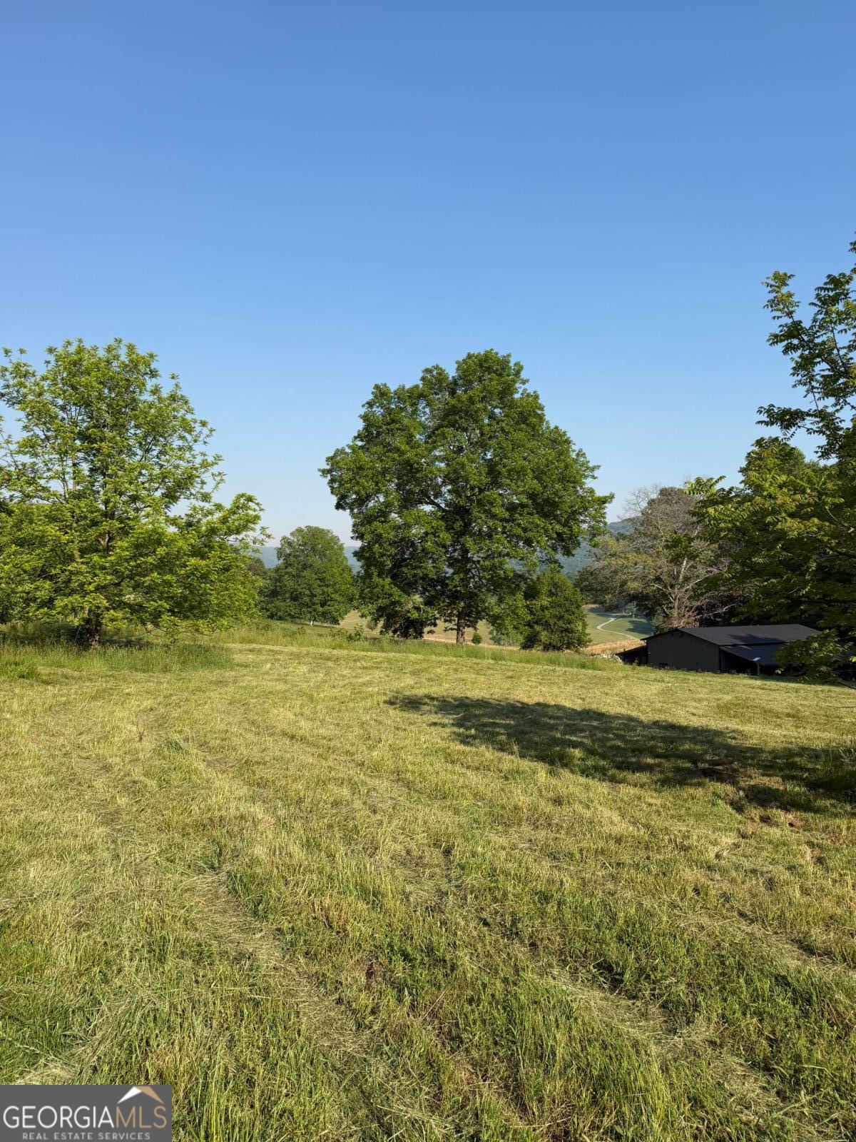 0 Mountain Road Morganton GA 30560