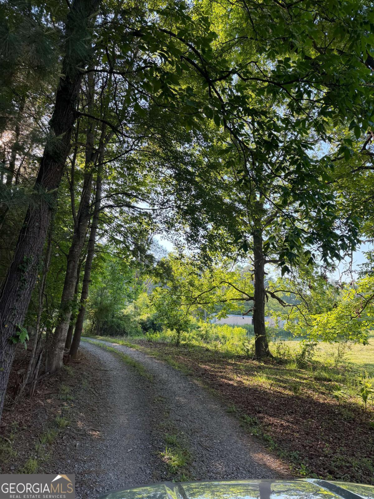 0 Mountain Road Morganton GA 30560