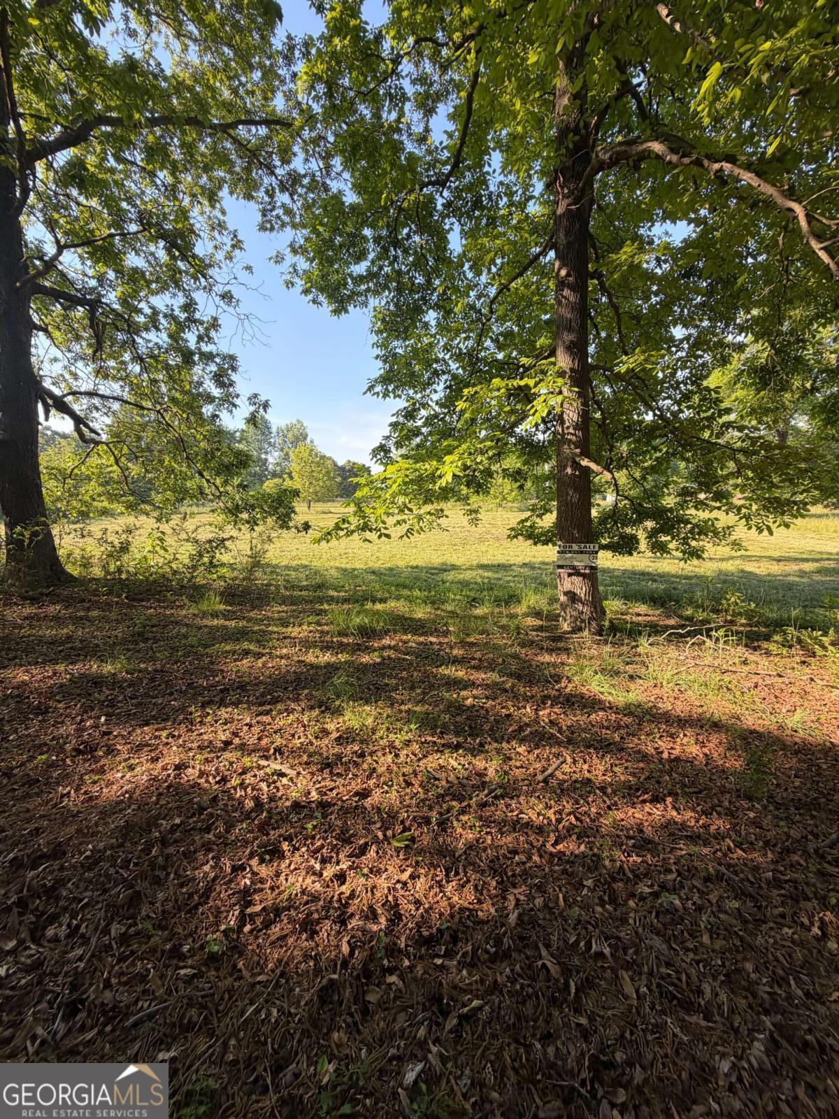 0 Mountain Road Morganton GA 30560