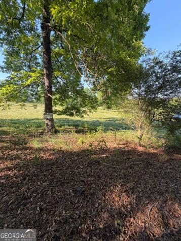 0 Mountain Road Morganton GA 30560