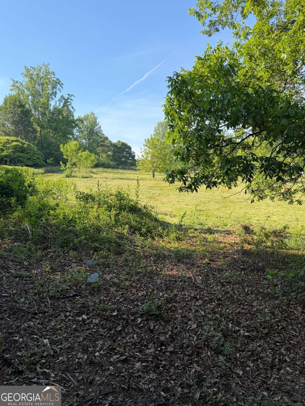 0 Mountain Road Morganton GA 30560