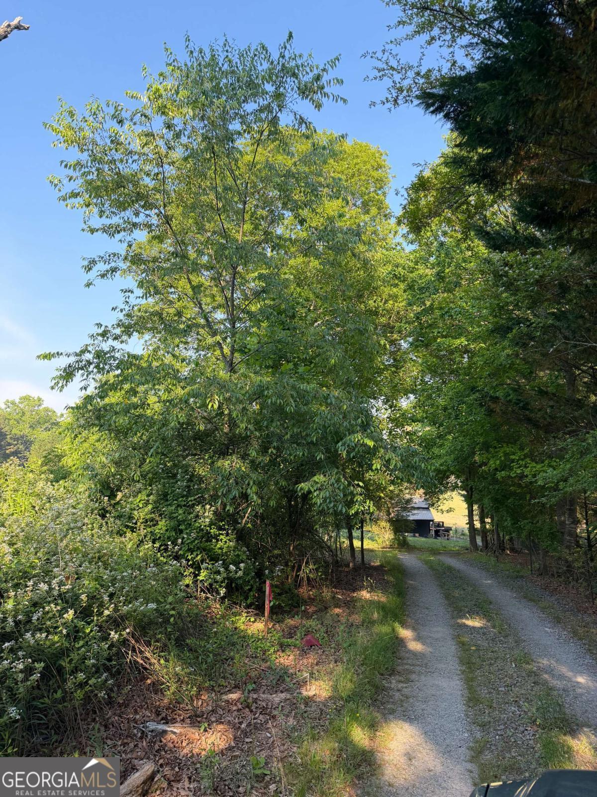 0 Mountain Road Morganton GA 30560