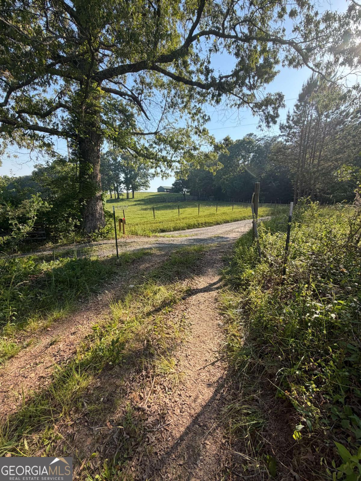 0 Mountain Road Morganton GA 30560
