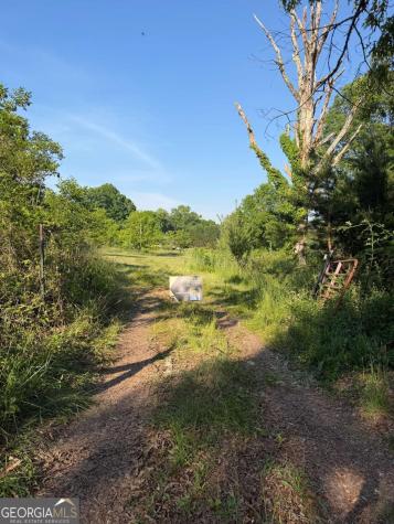 0 Mountain Road Morganton GA 30560