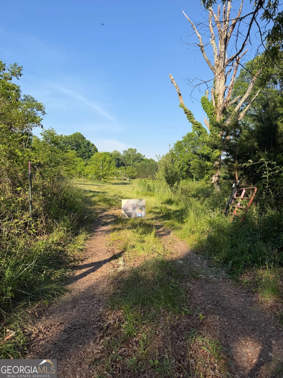 0 Mountain Road Morganton GA 30560
