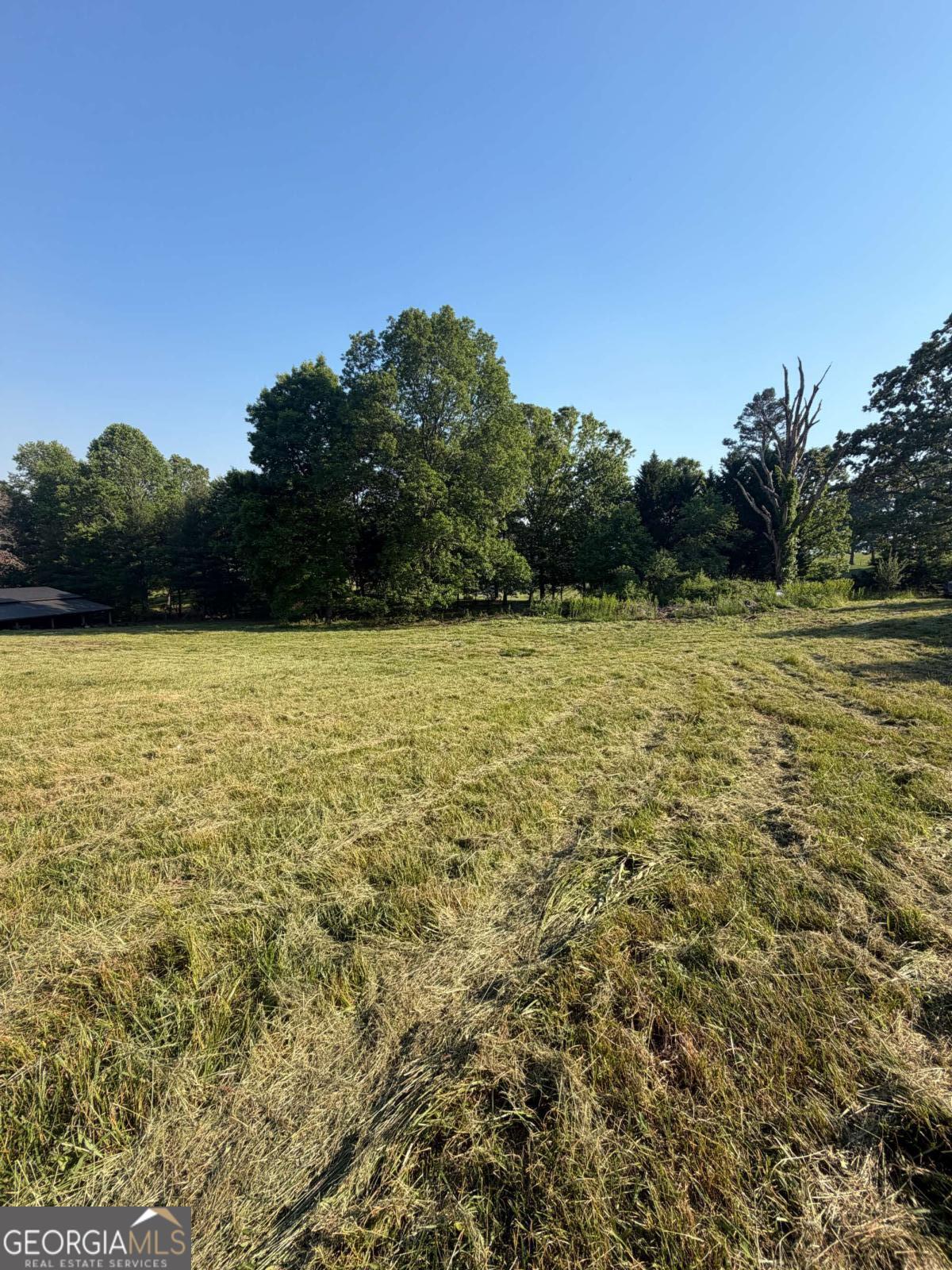 0 Mountain Road Morganton GA 30560
