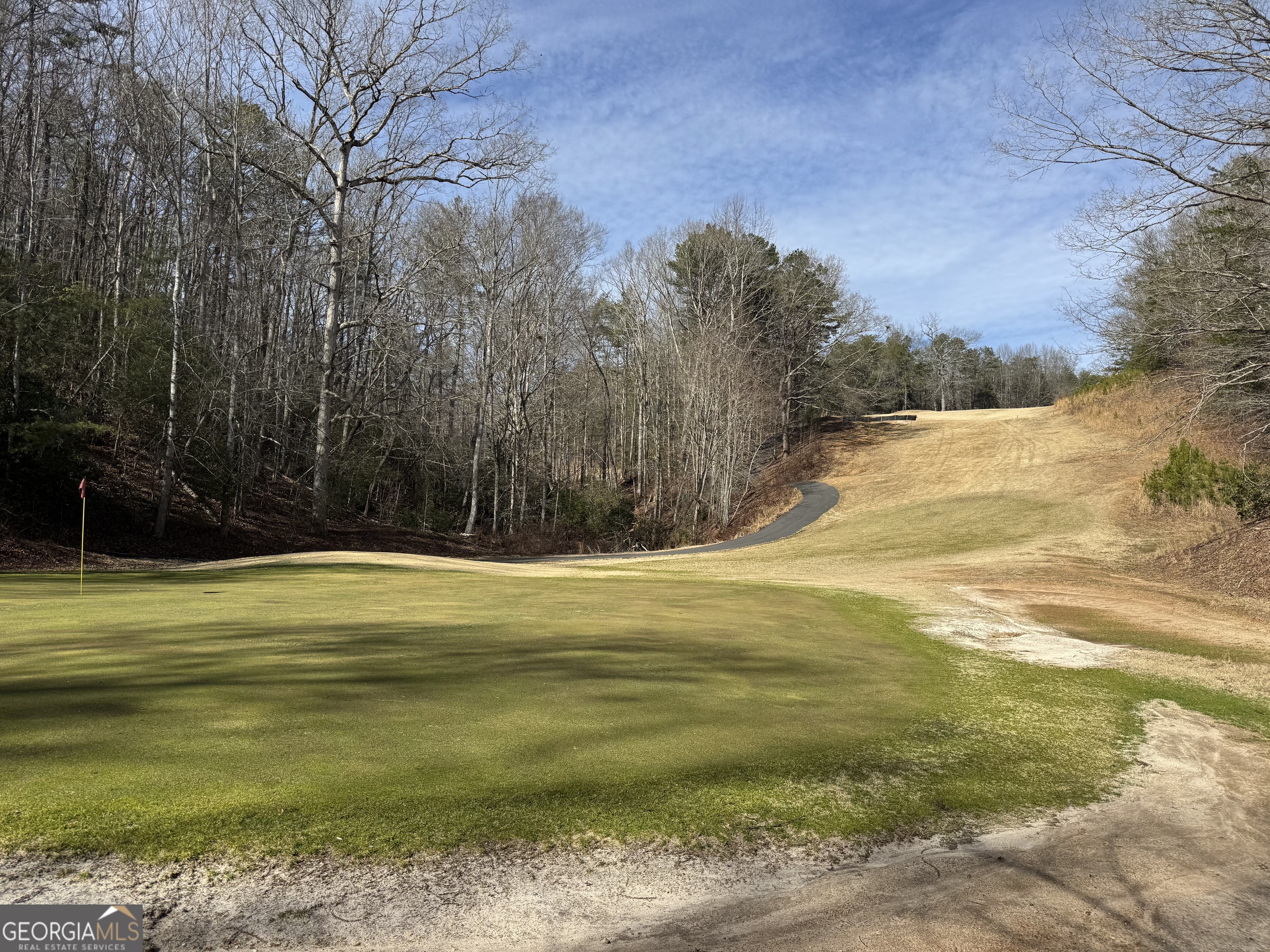 0 Mountain Lion Trail Helen GA 30545