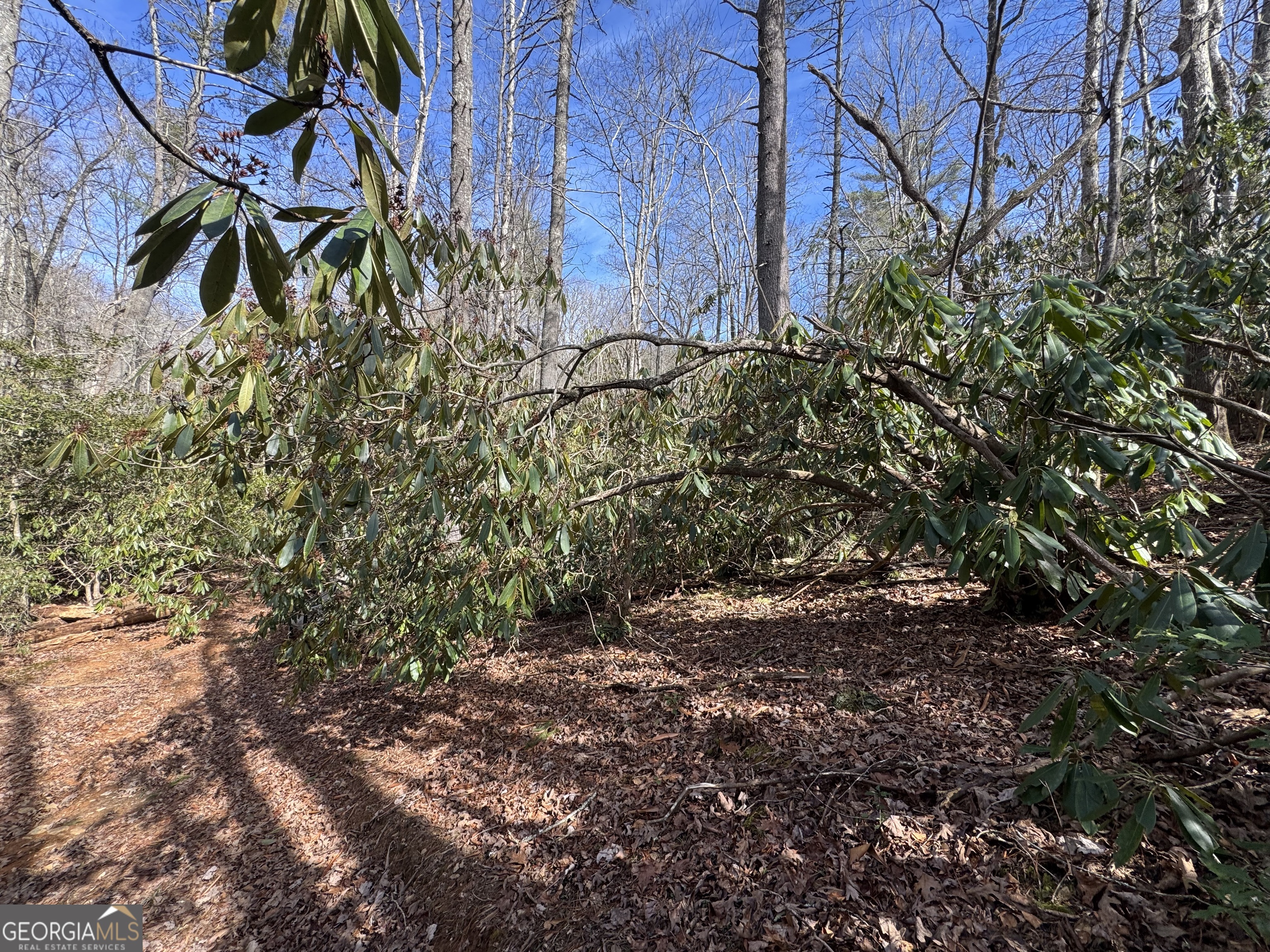 0 Mountain Lion Trail Helen GA 30545