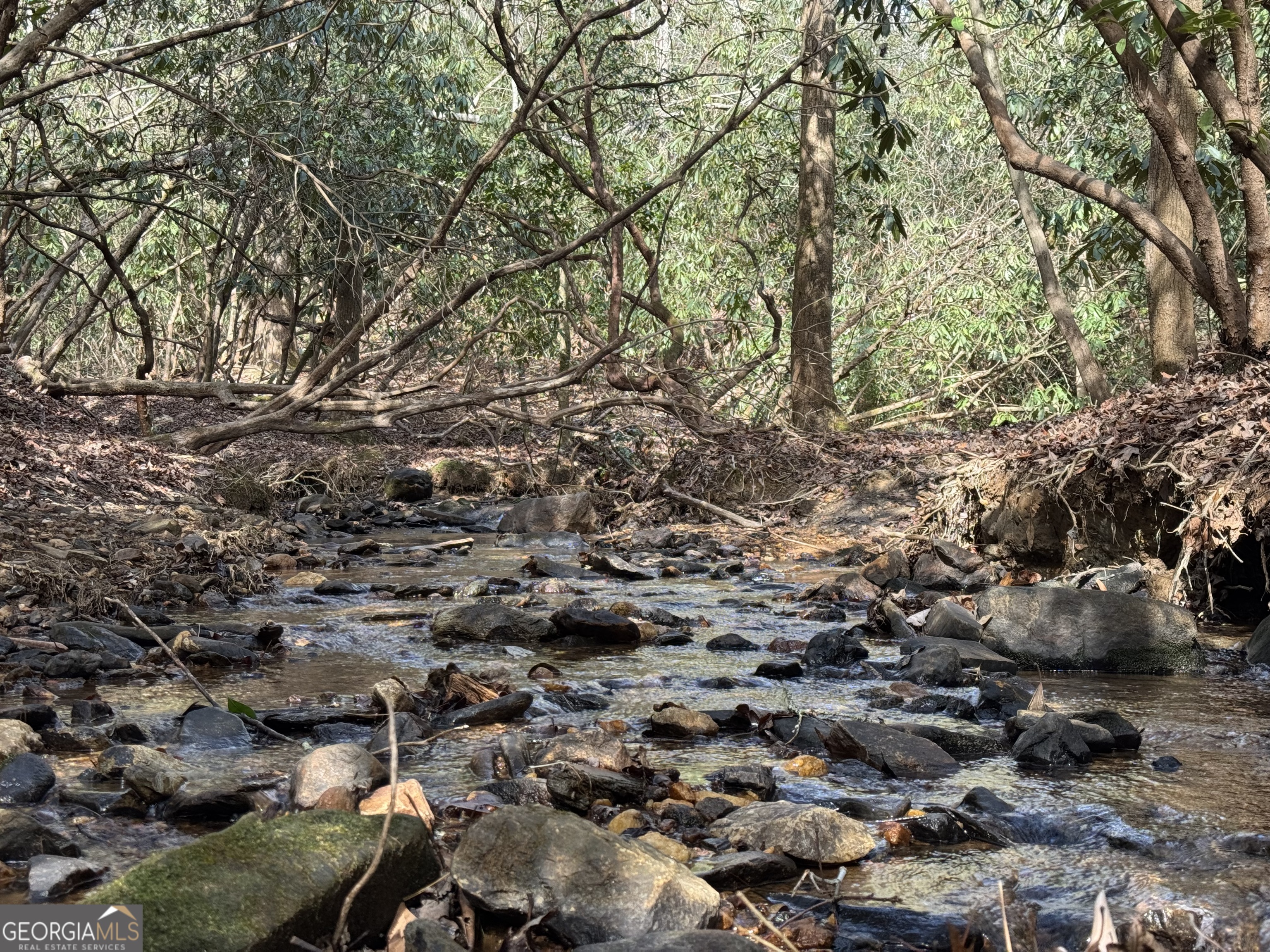 0 Mountain Lion Trail Helen GA 30545