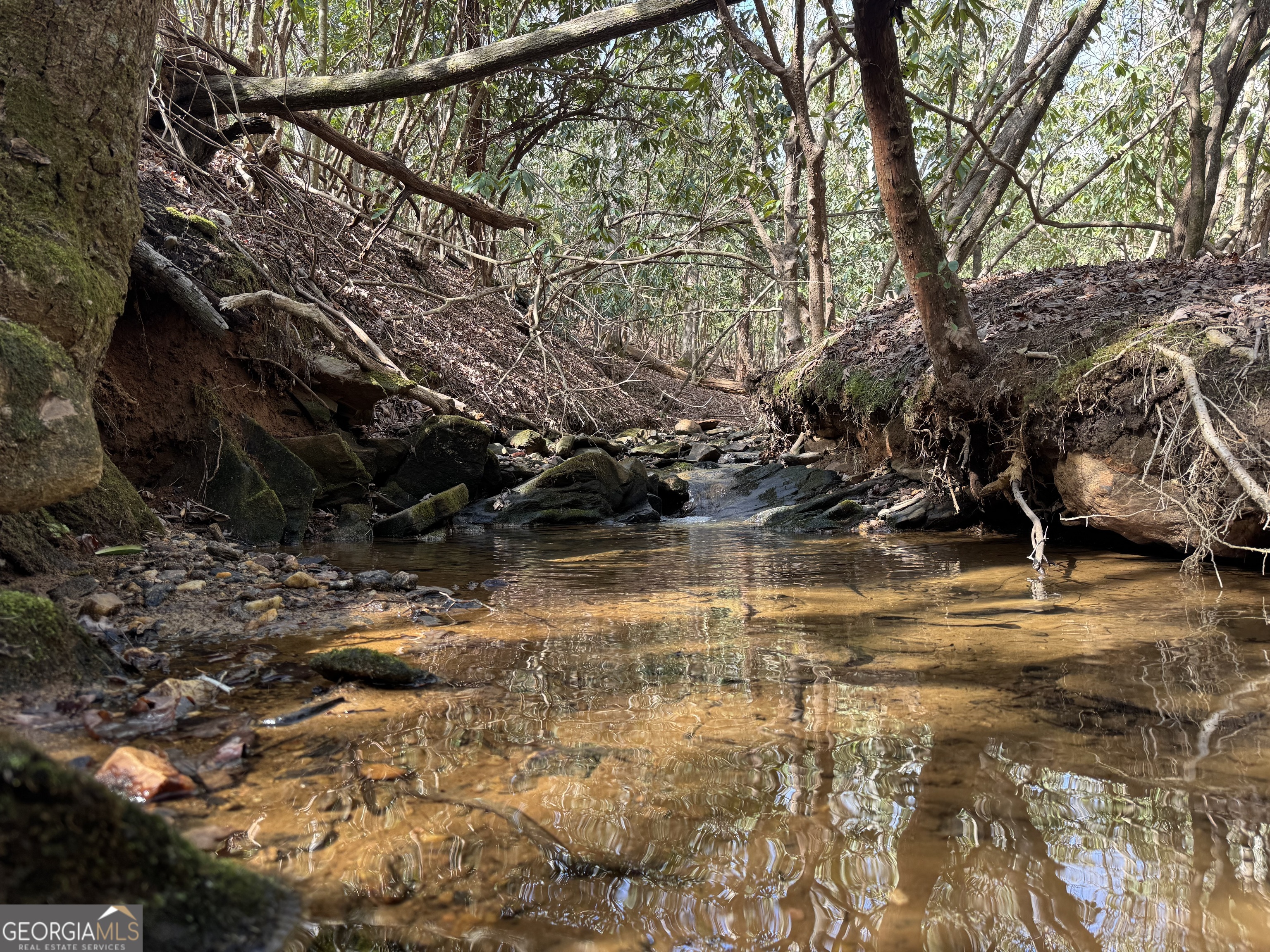 0 Mountain Lion Trail Helen GA 30545
