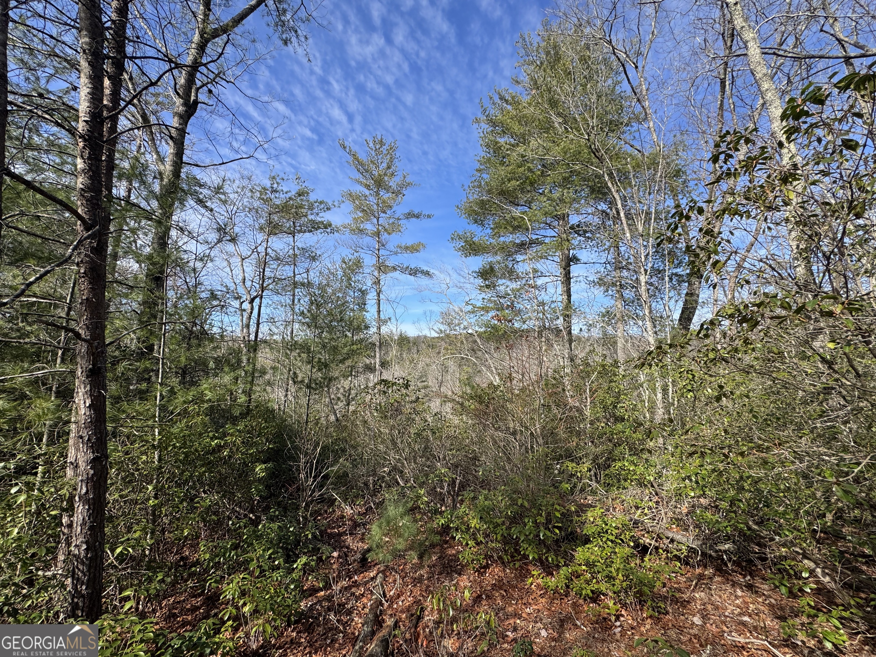 0 Mountain Lion Trail Helen GA 30545
