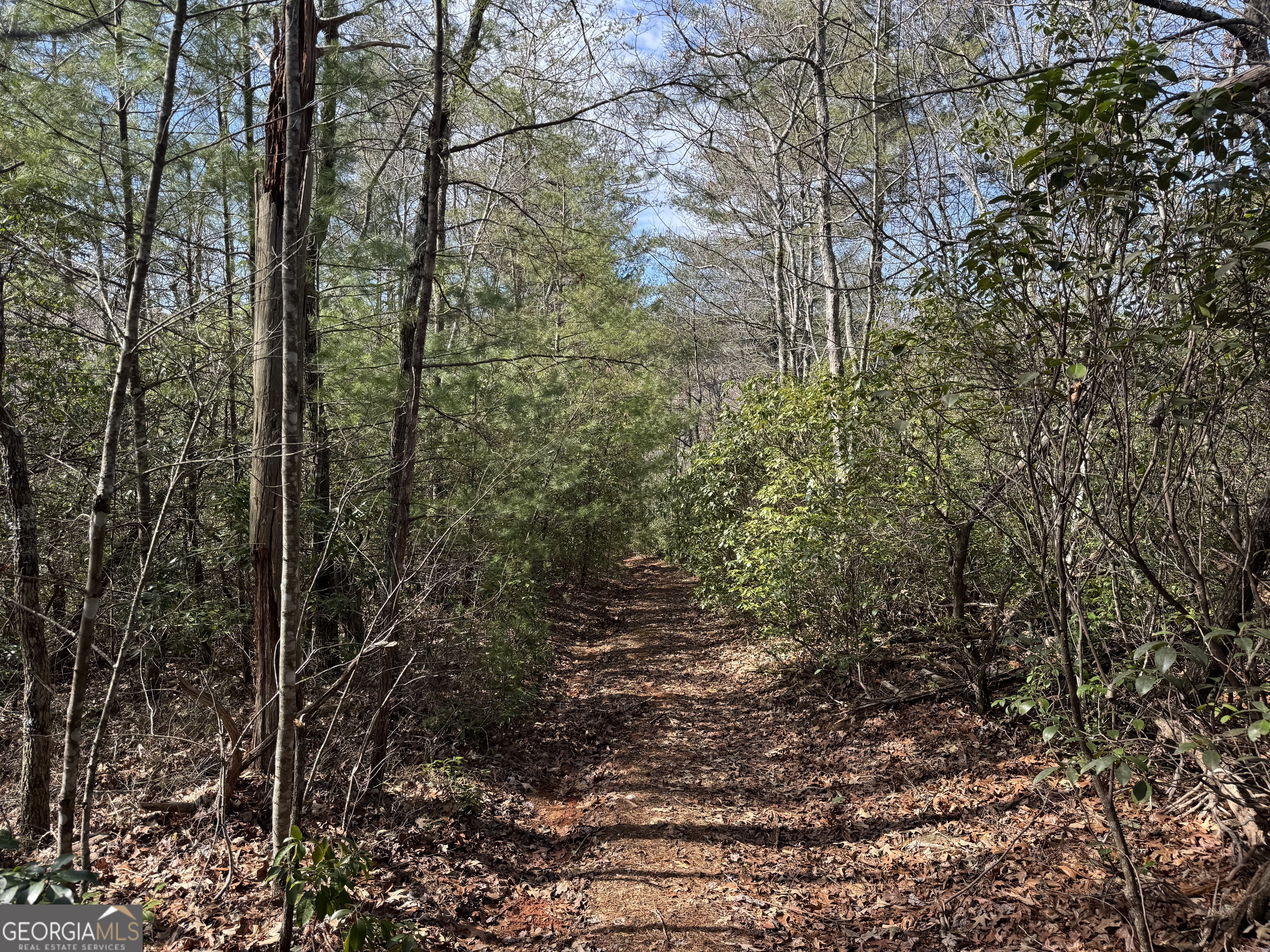 0 Mountain Lion Trail Helen GA 30545