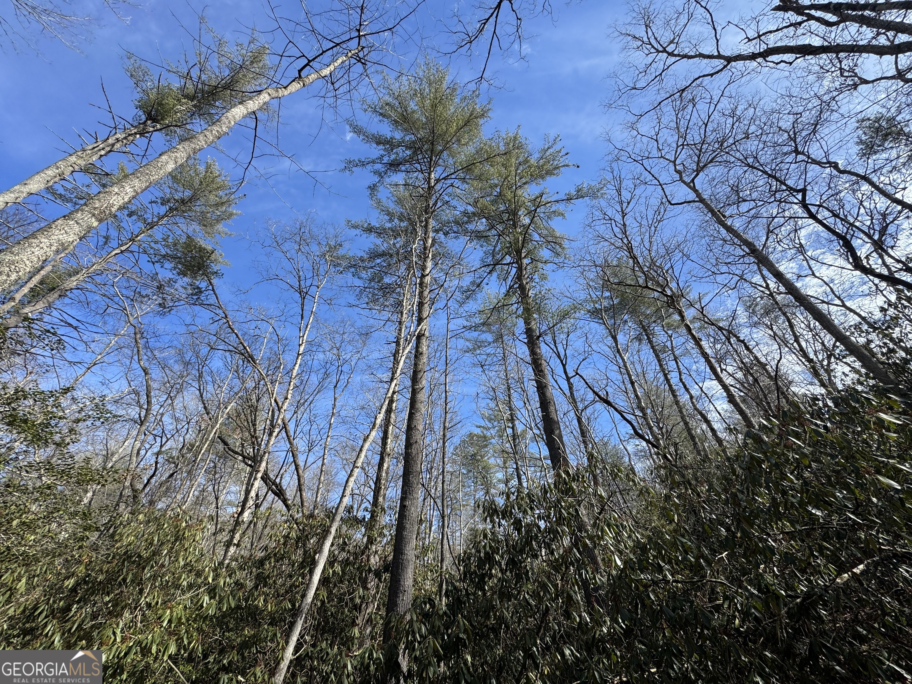 0 Mountain Lion Trail Helen GA 30545
