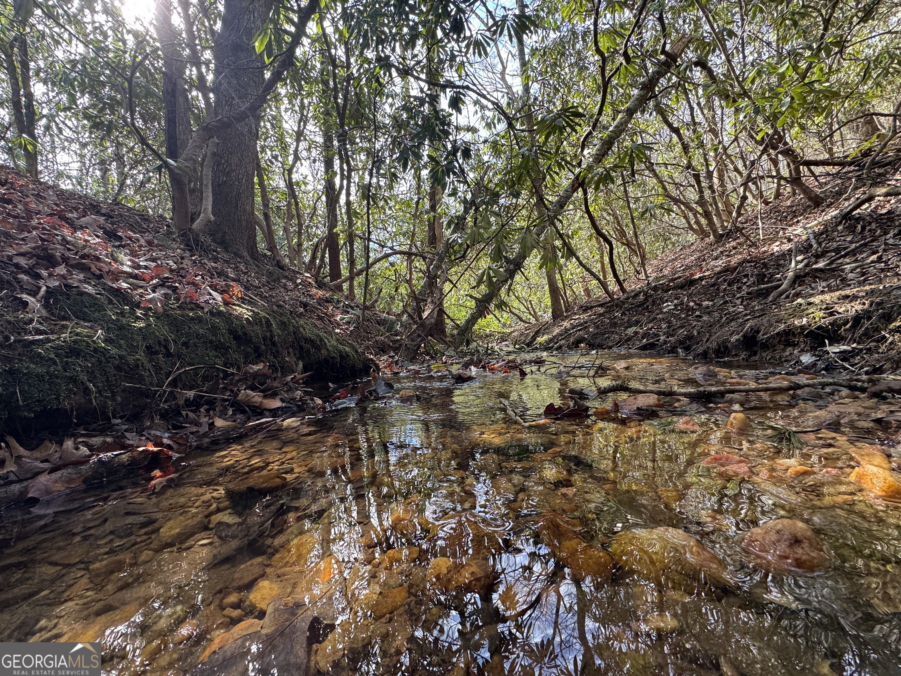 0 Mountain Lion Trail Helen GA 30545