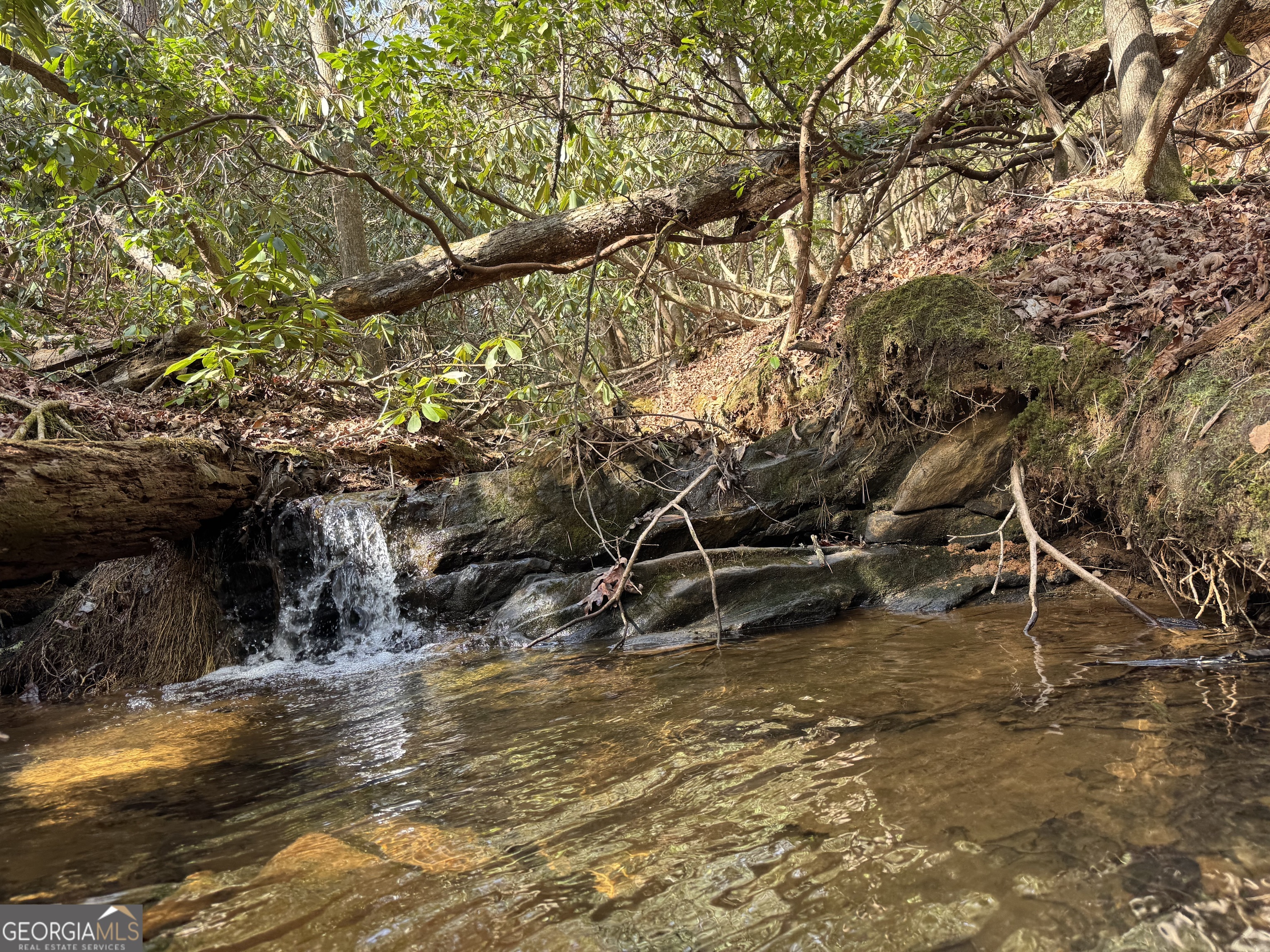 0 Mountain Lion Trail Helen GA 30545