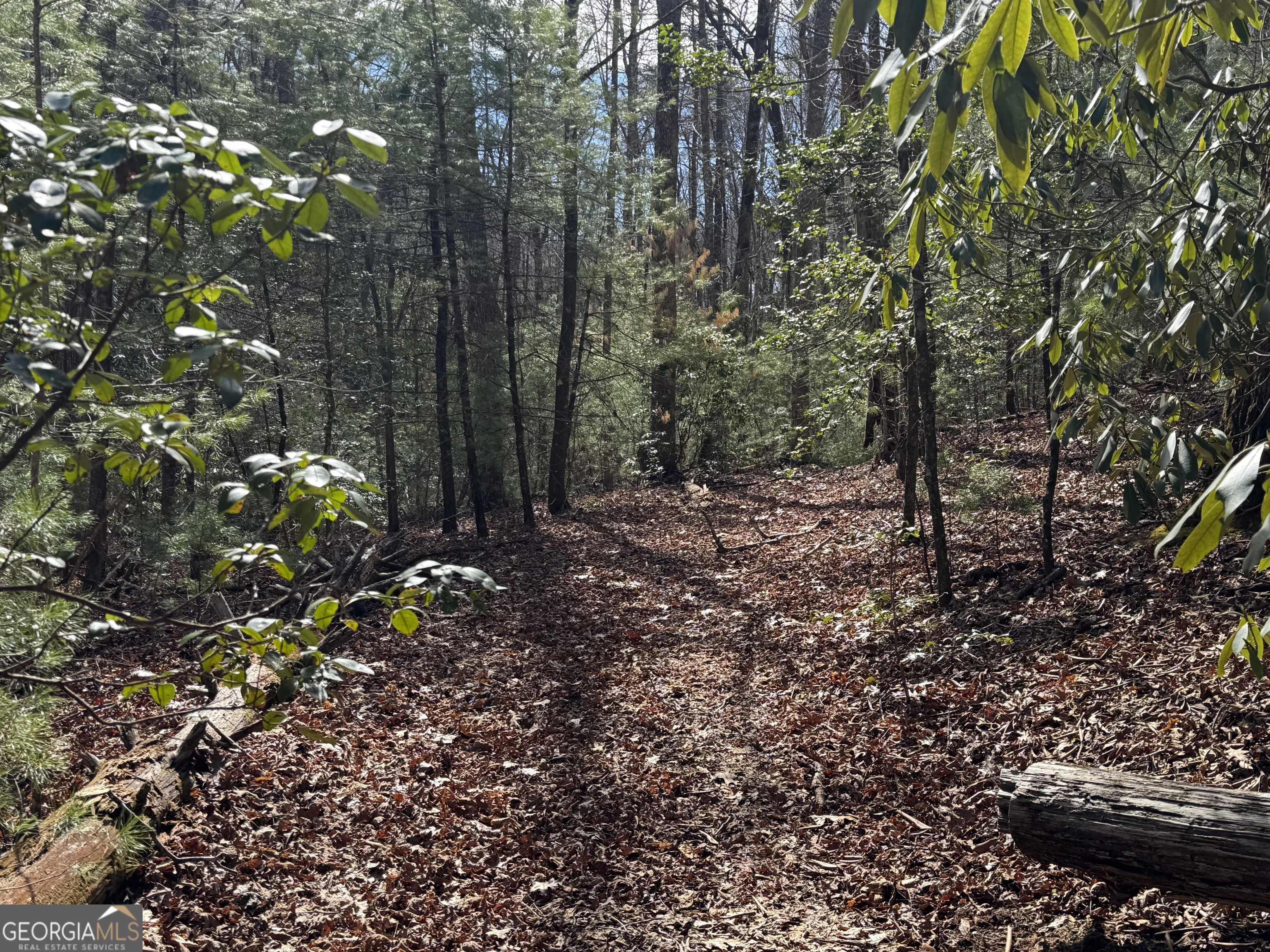 0 Mountain Lion Trail Helen GA 30545
